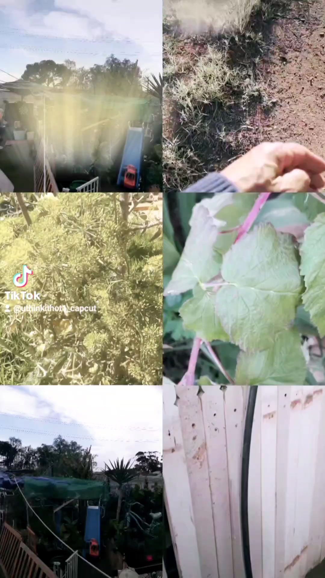 @Uthinkithot_Capcut organic