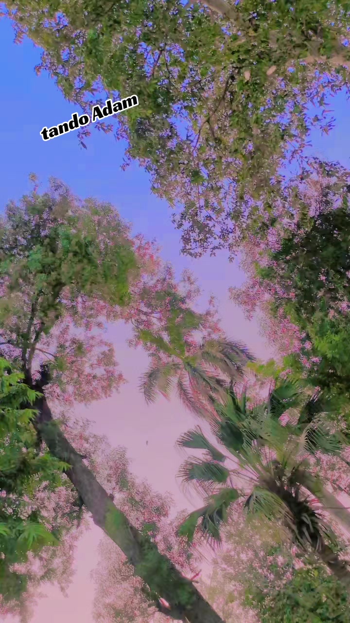 @ɪᴹ᭄Mᴵˢˢ ᶻᴵᴰᴰᴵ✭