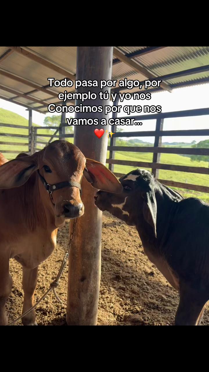 @Didier_🤠