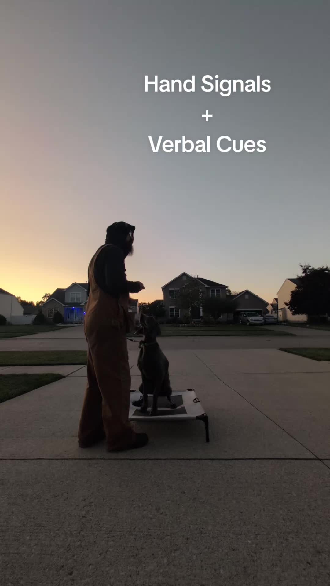 @AwesomeDogHandlingDude