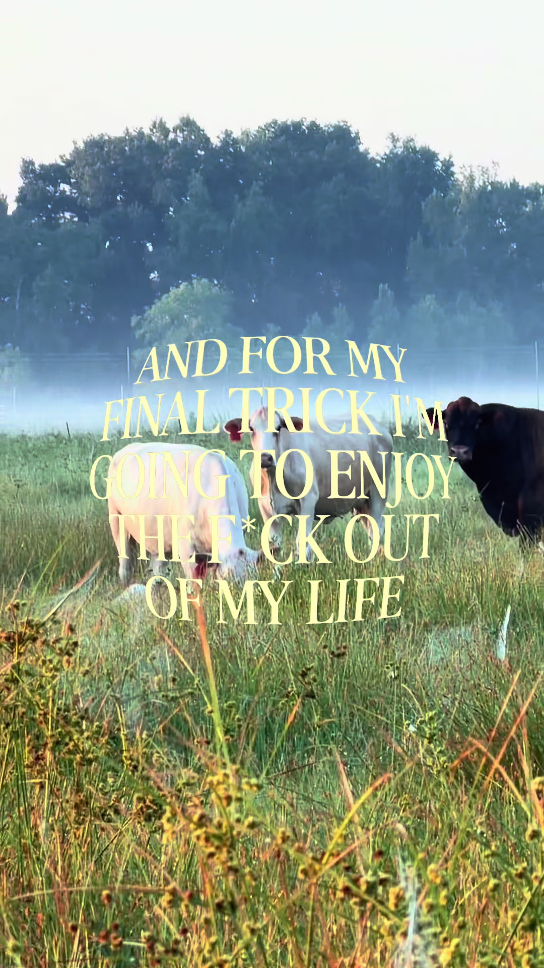 @ER/Trauma RN/Ranching/Farmlife