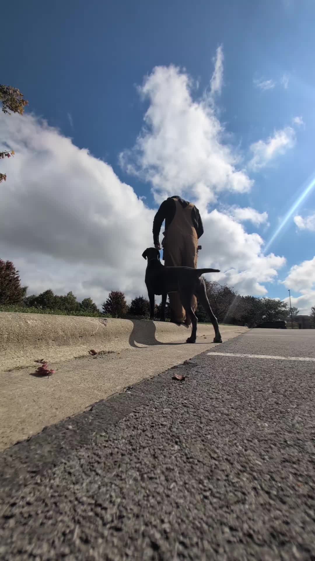 @AwesomeDogHandlingDude