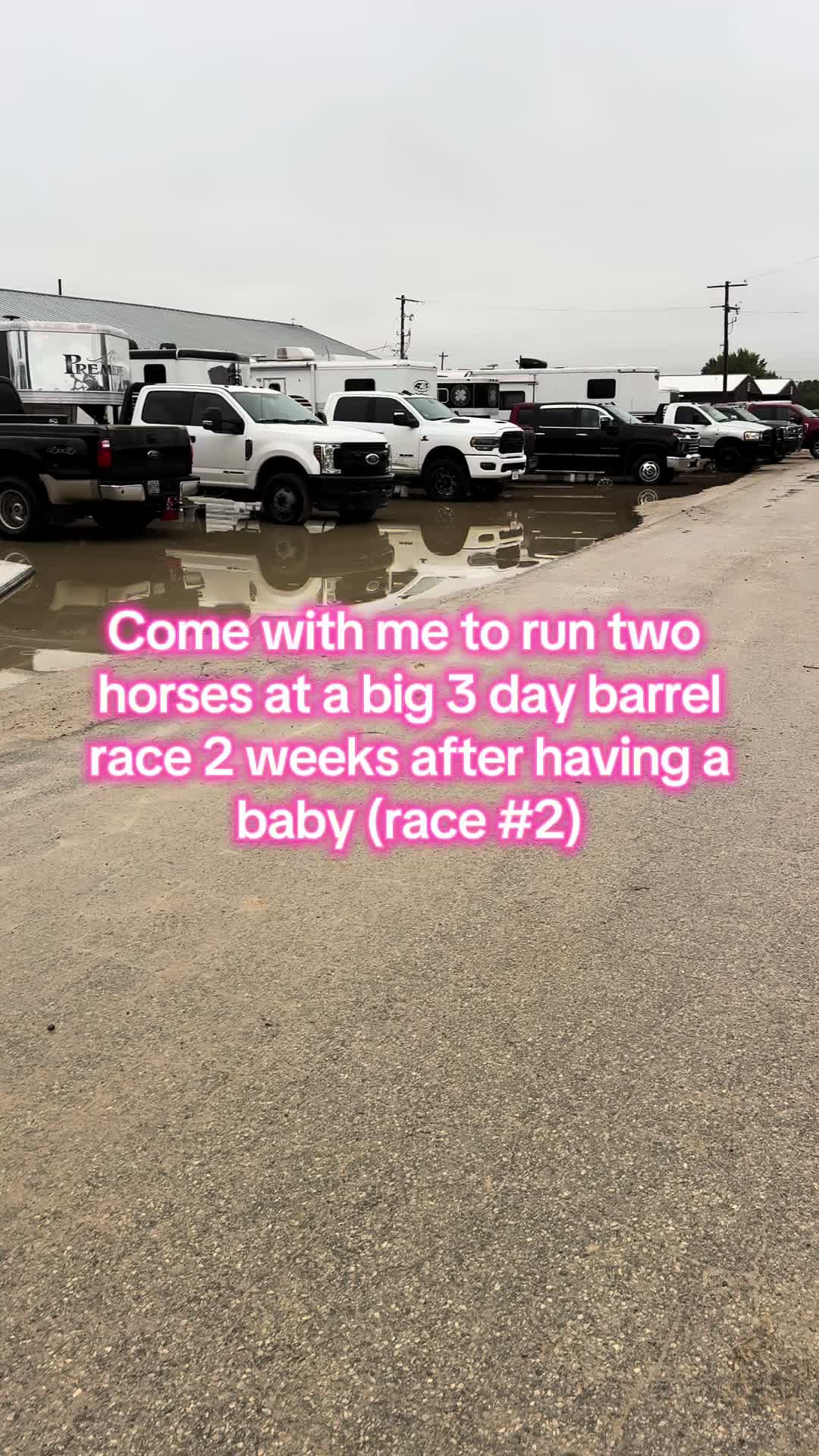 @Living Lucky Quarter Horses