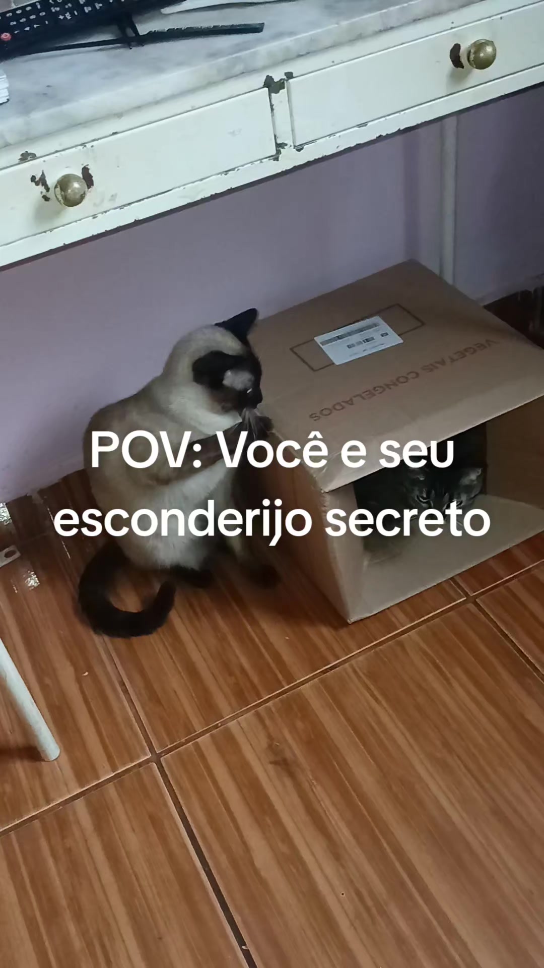 @Juliah Berto