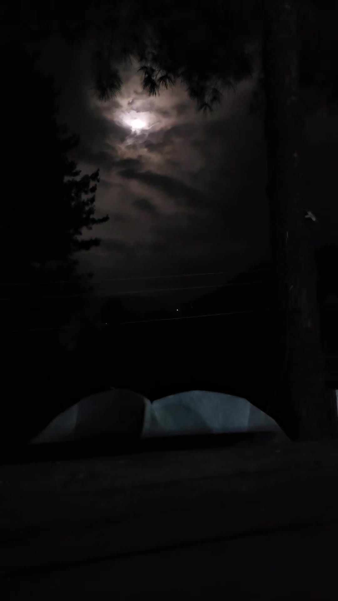 @ₒᵣdᵢₙₐᵣy⛰️ₜᵣₐᵥₑₗₗₑᵣ
