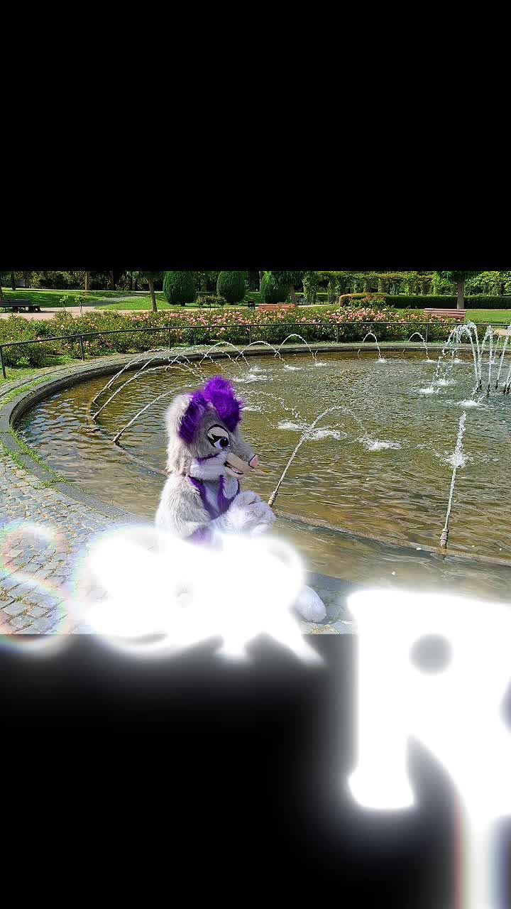 @Stella_and_furry_MFL_