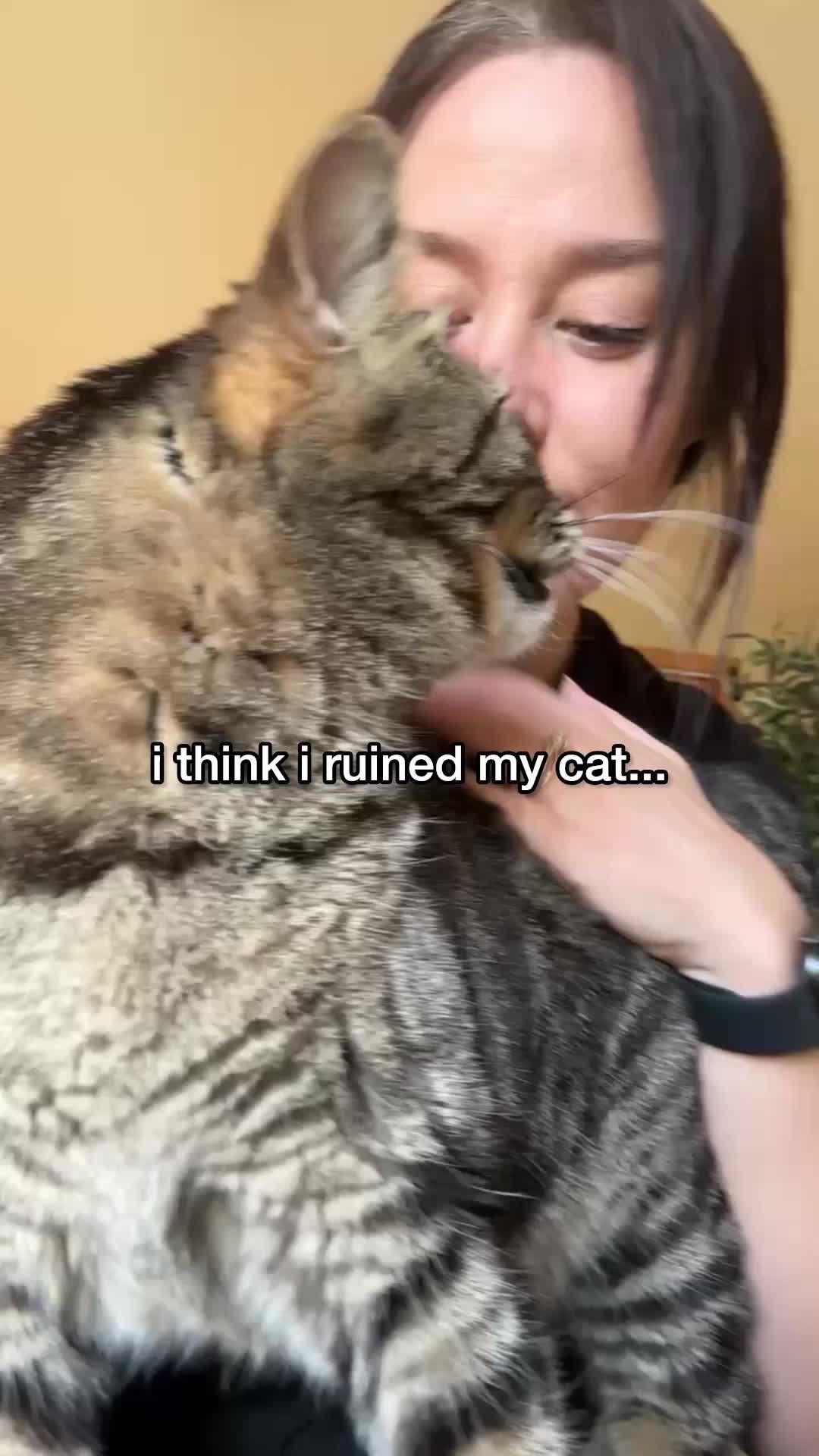 @Chip The Manx