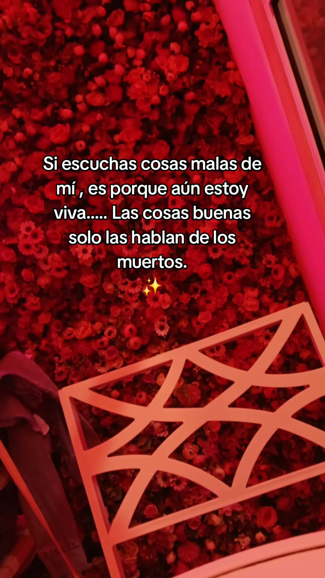 @mily 🌻
