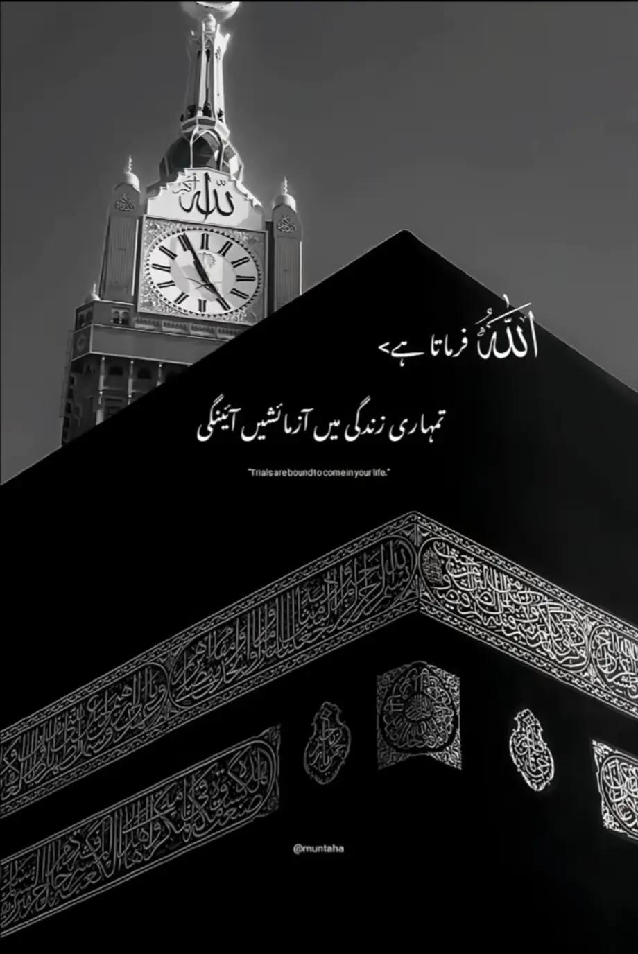 @ذہنی مریض🚩