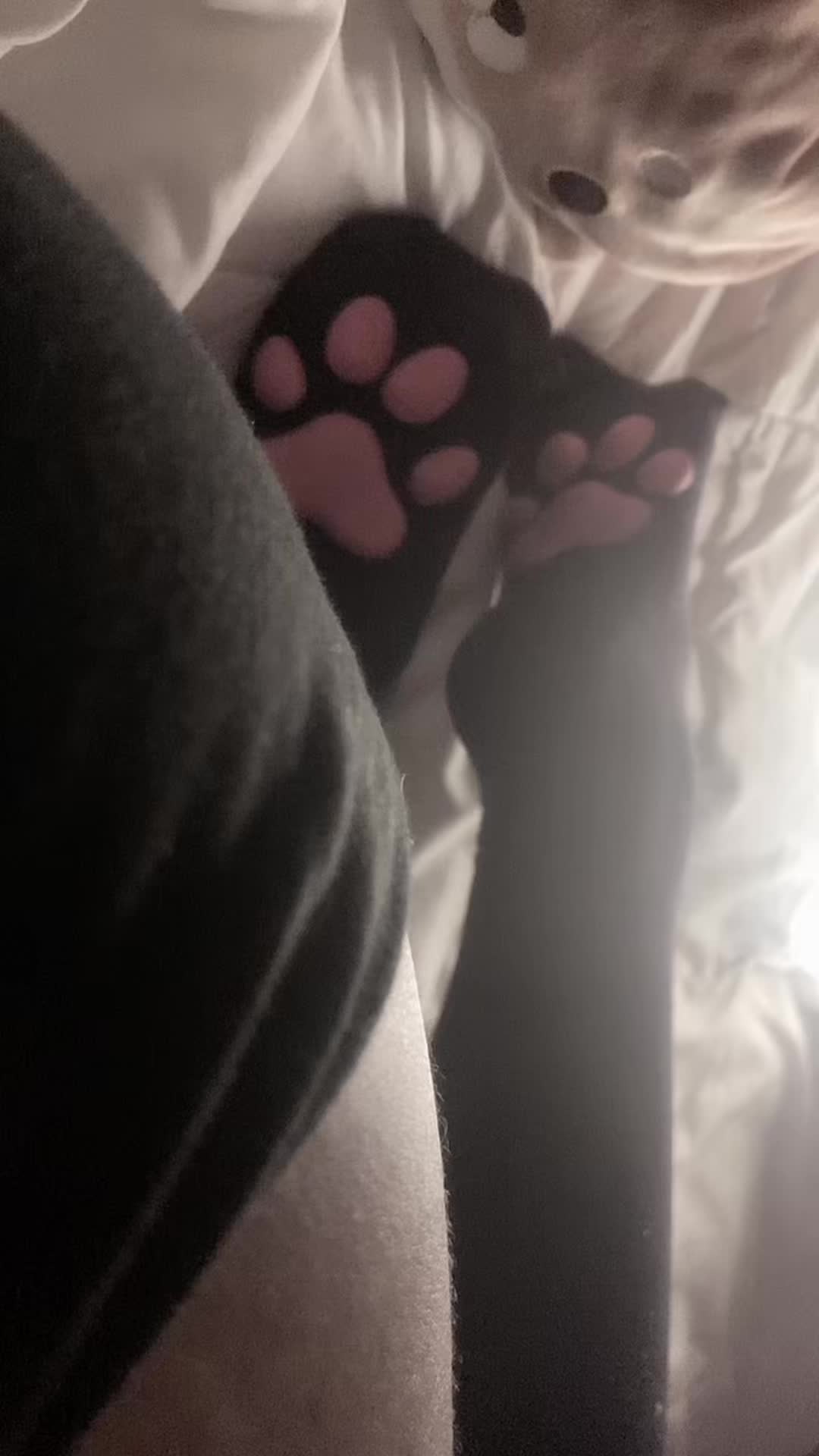 @Luvkitty