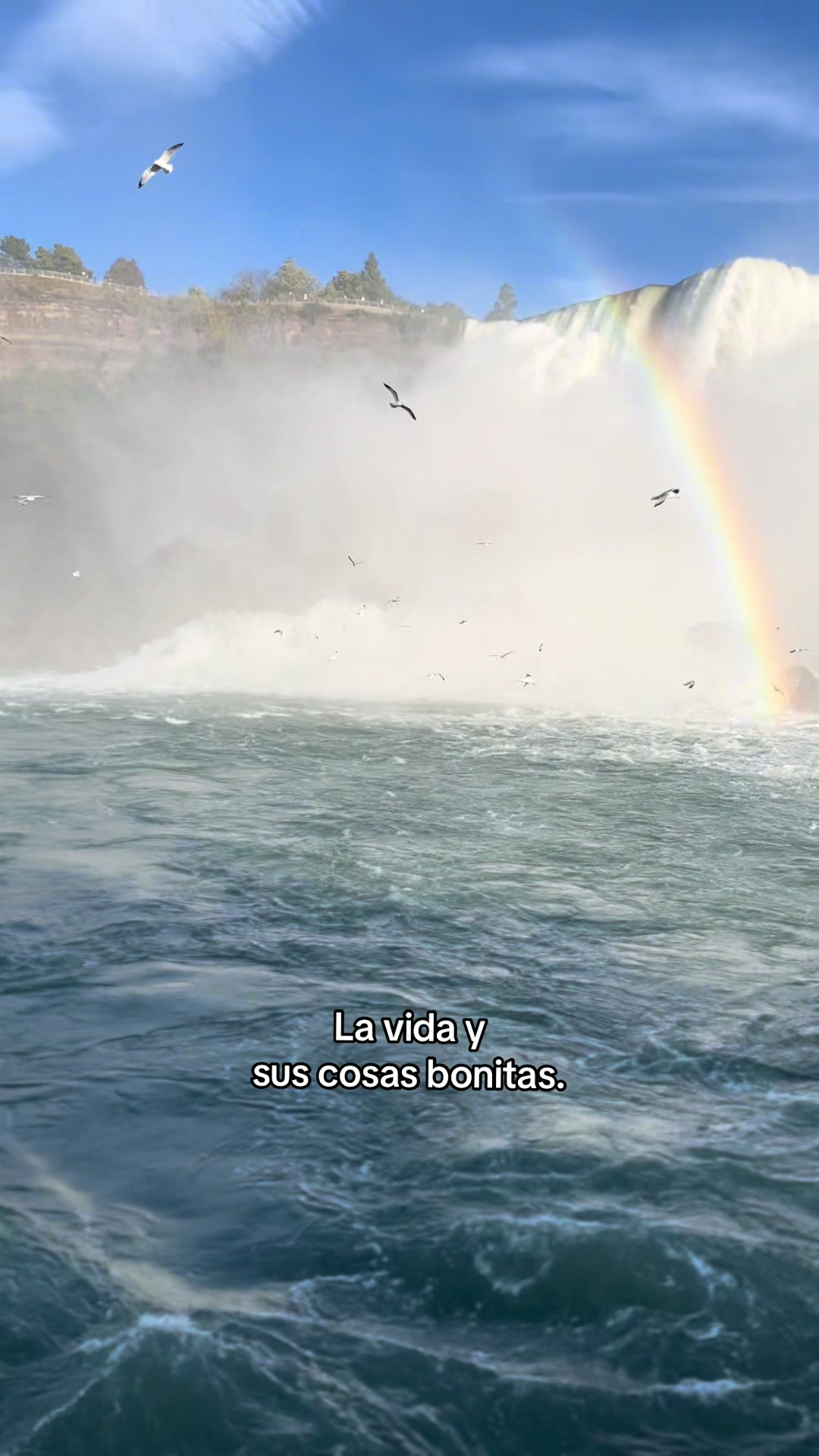 @Danny Rodz