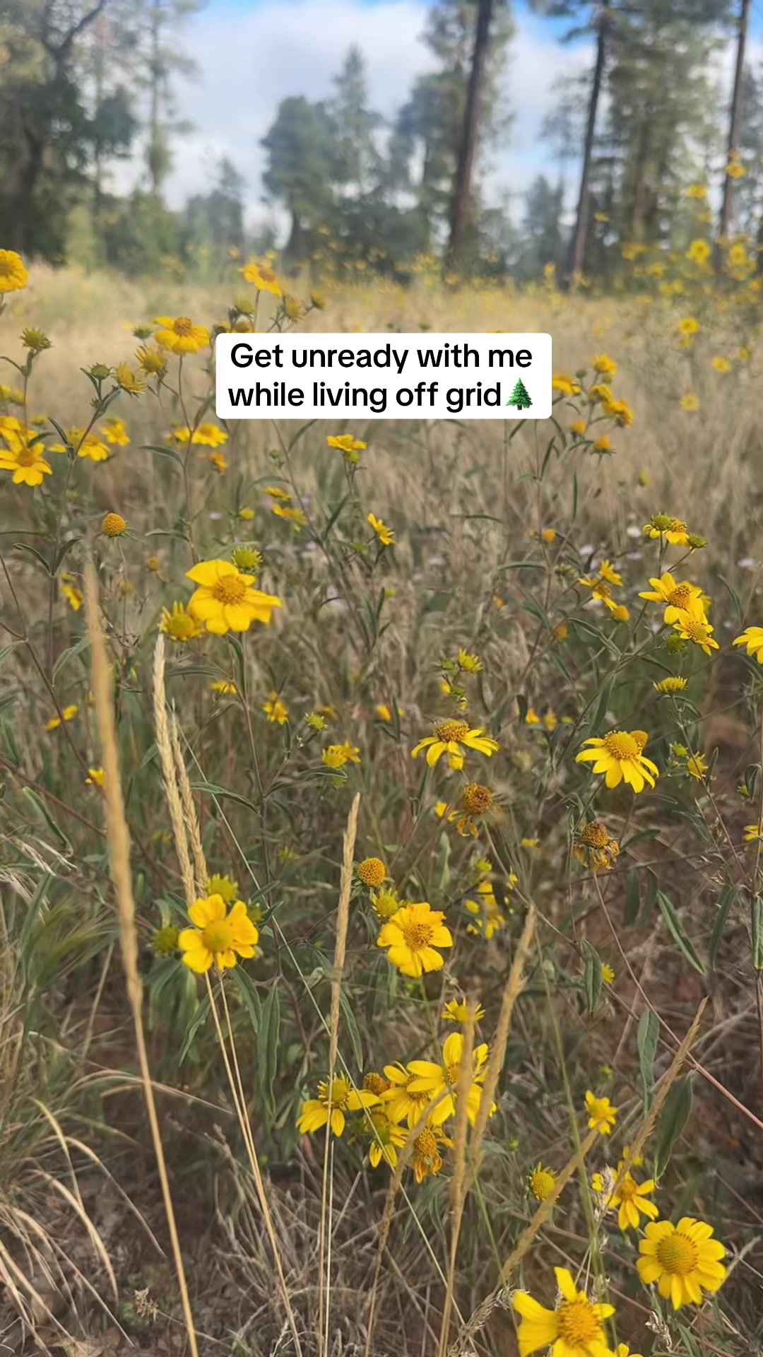 @Max🪻🌞🌲