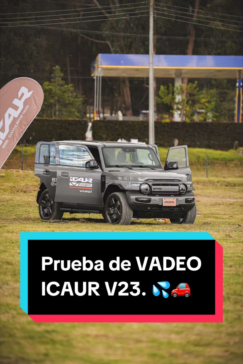 @José David Araujo
