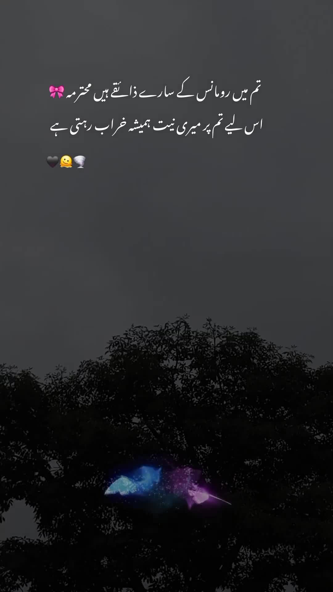 @Noor 𓍯𓂃ᥫ᭡.
