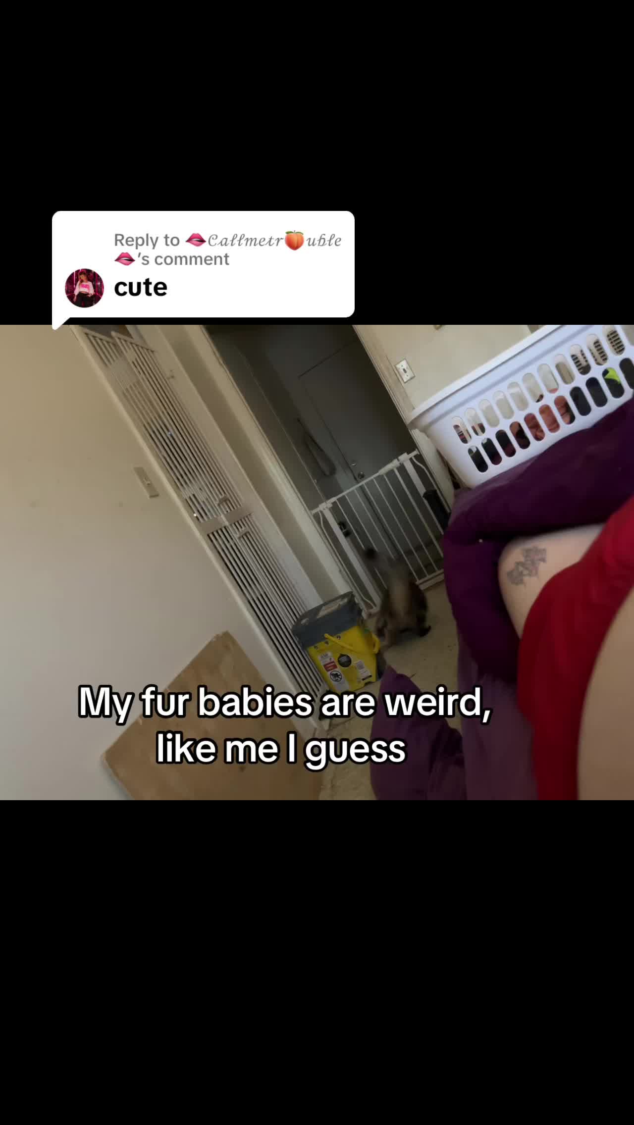 @💞🔥🏳️&zwj;🌈Clumsy/JD🏳️&zwj;⚧️🔥💞