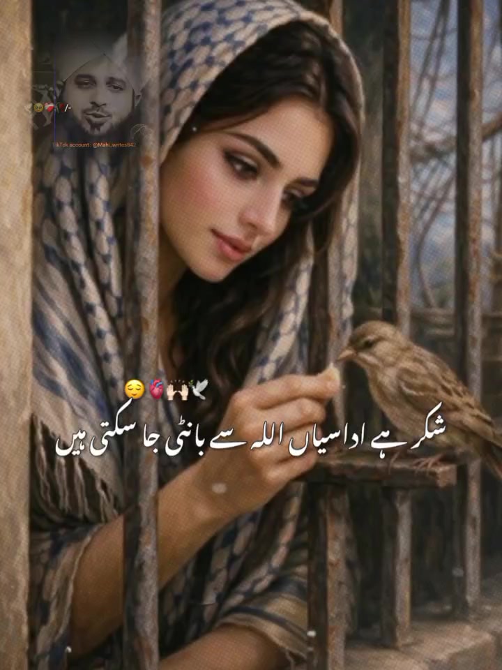@shehzadi710