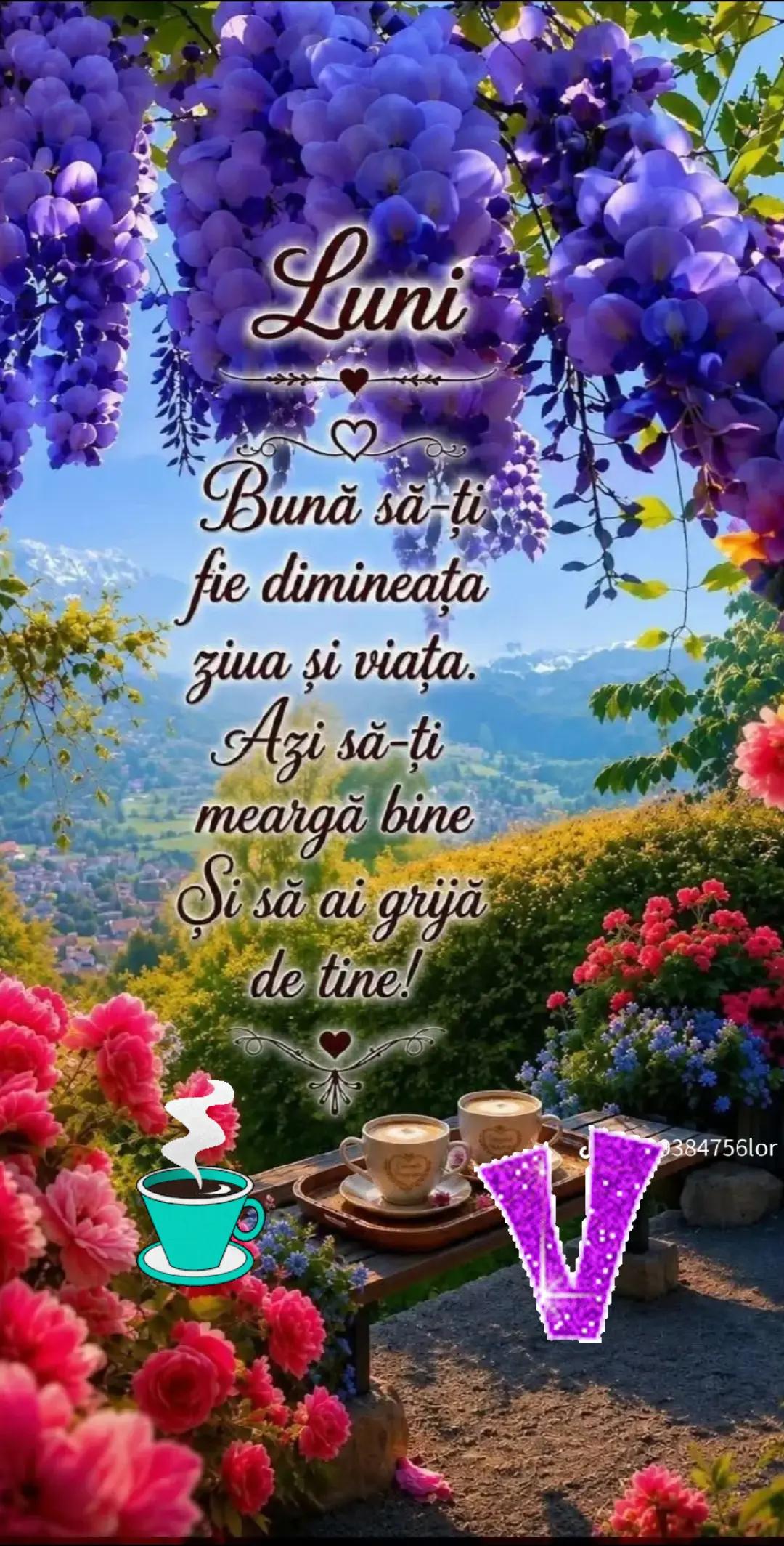 @𝒱𝒶𝓁𝒾 𝓓𝓸𝓫𝓻𝓪𝓽𝓪̆ 💞🌷