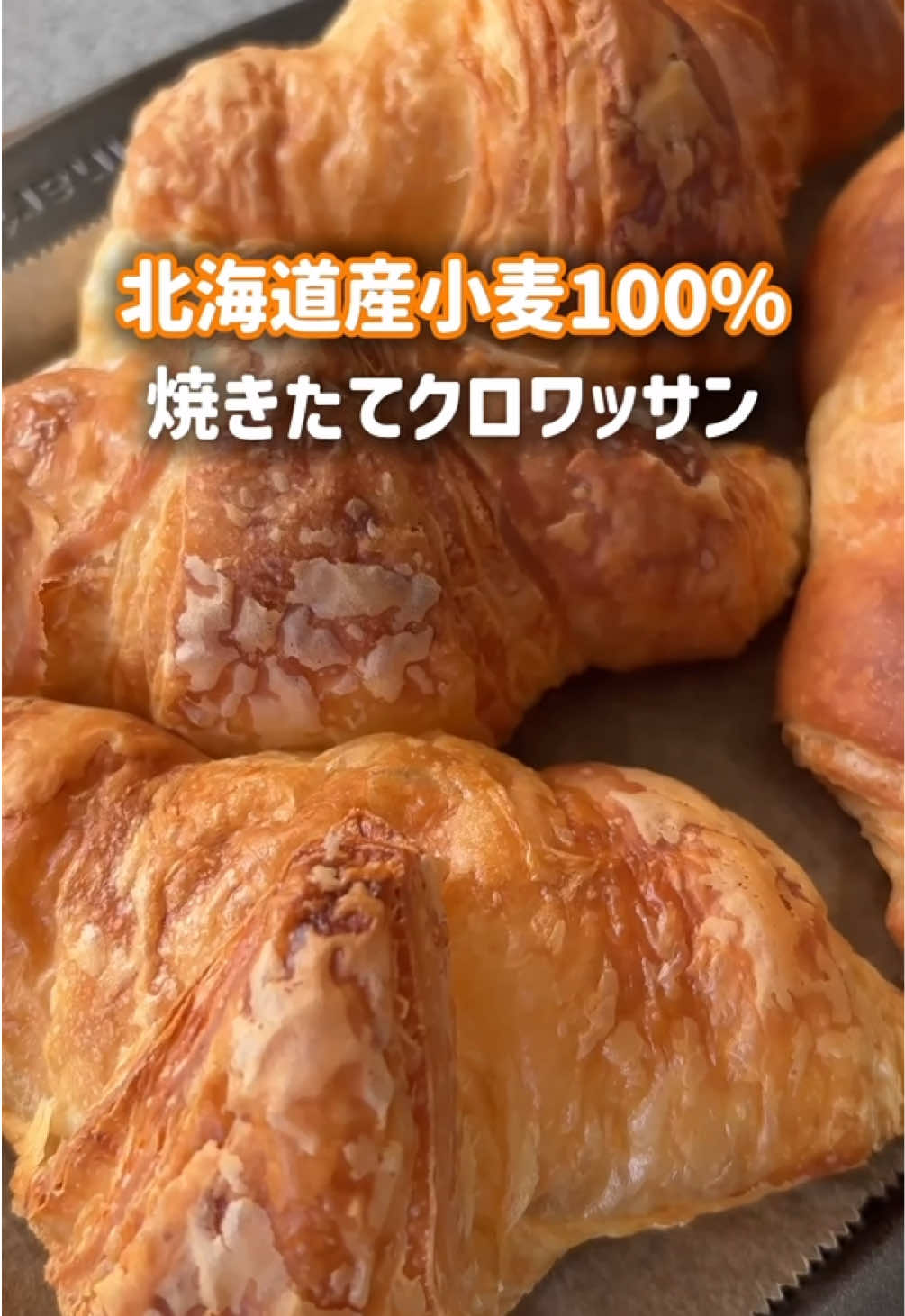 @mami頑張りすぎない人🦭