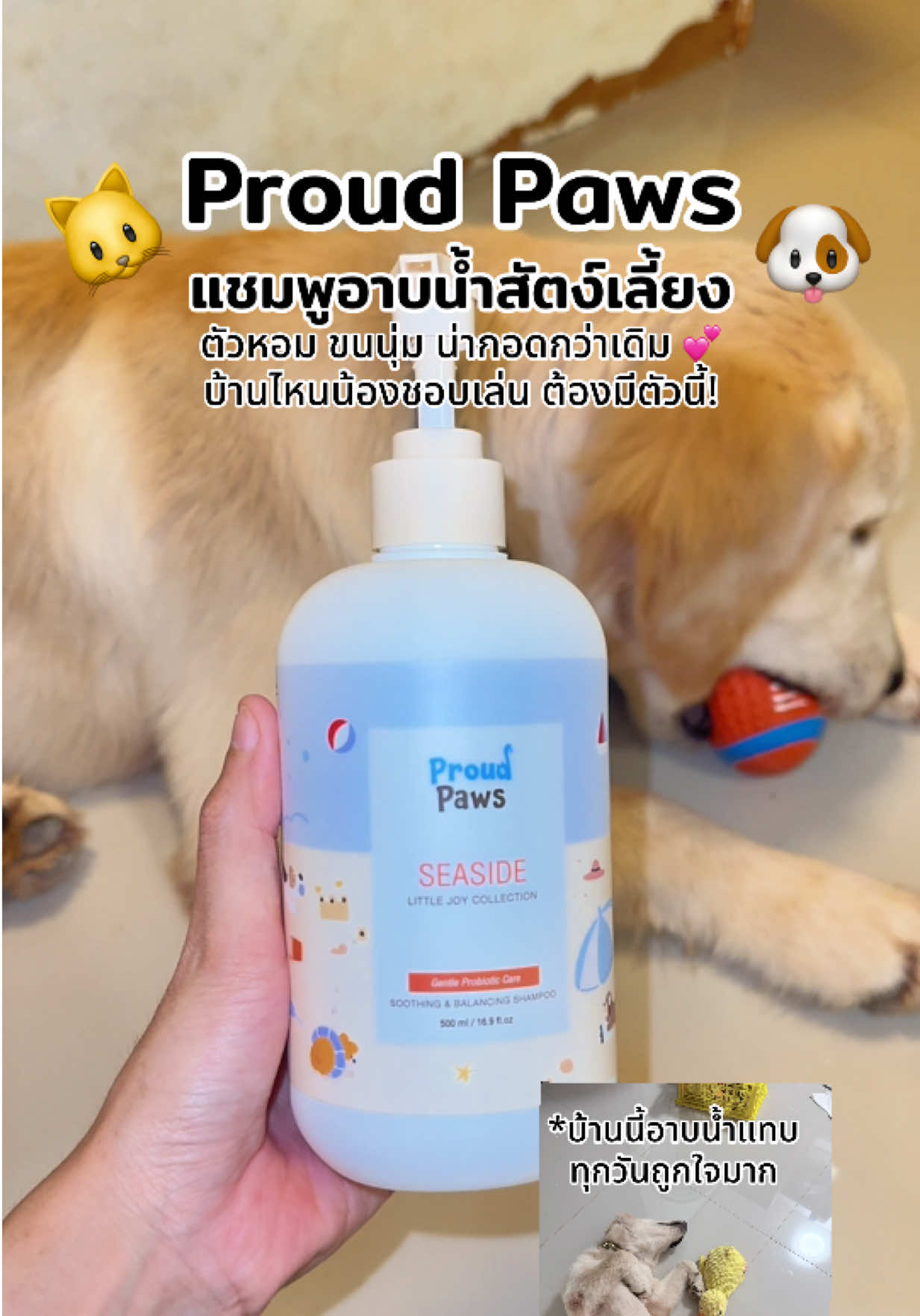 @มี๋ หมี๋