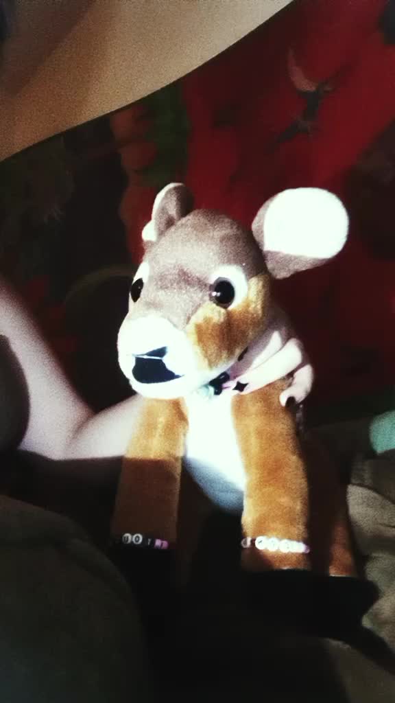 @Bailey_da_deer