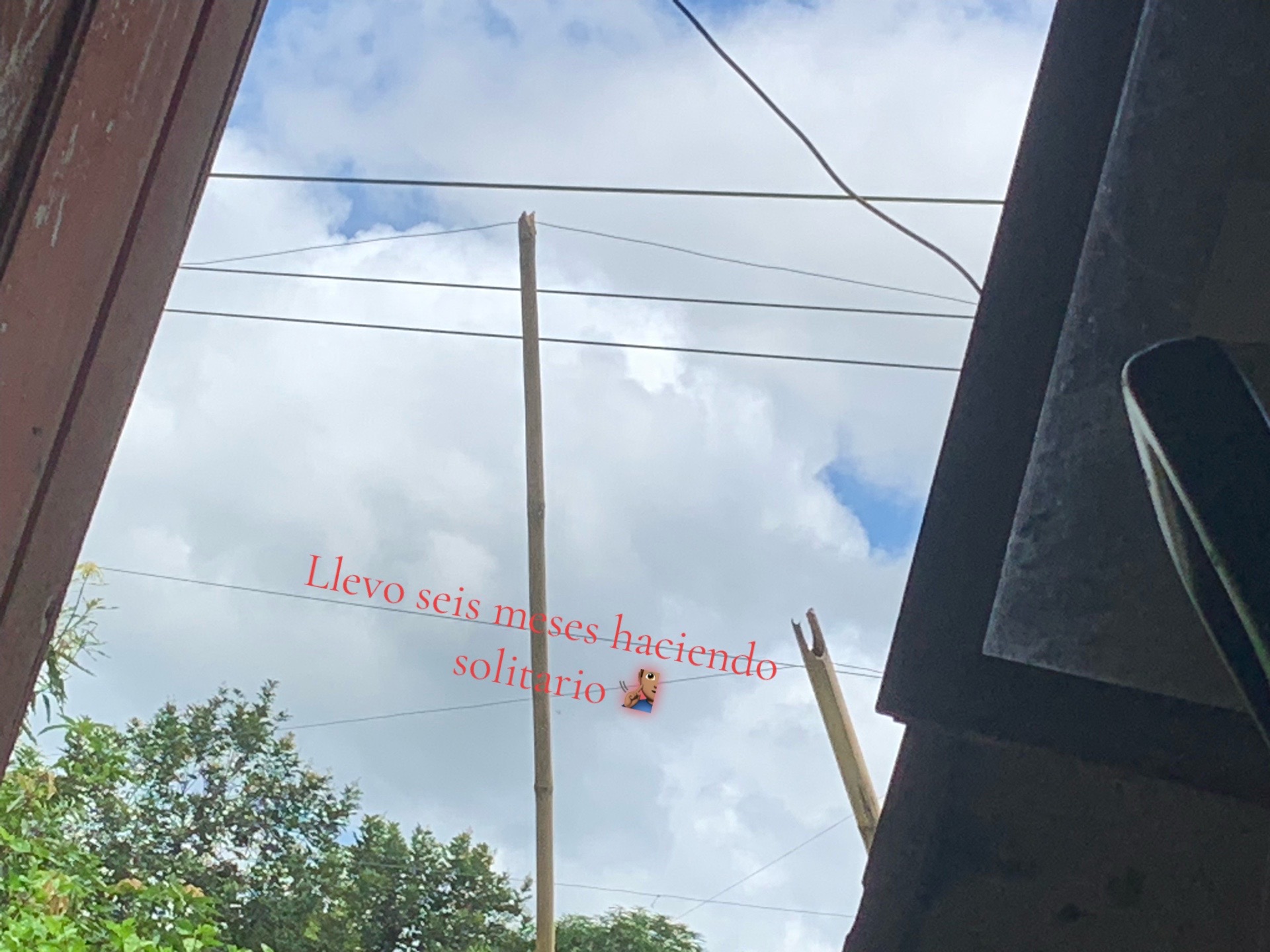 @Javier🧏🏽&zwj;♂️
