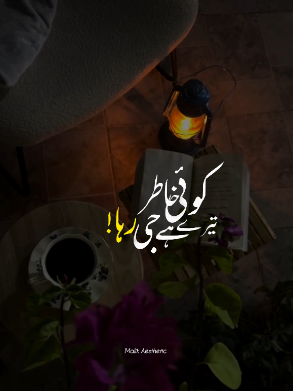 @𝗠𝗔𝗟𝗜𝗞 𝗫 𝗔𝗘𝗦𝗧𝗜𝗫🪐