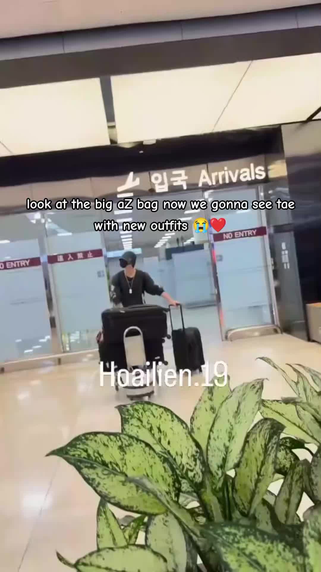@stella 🫯