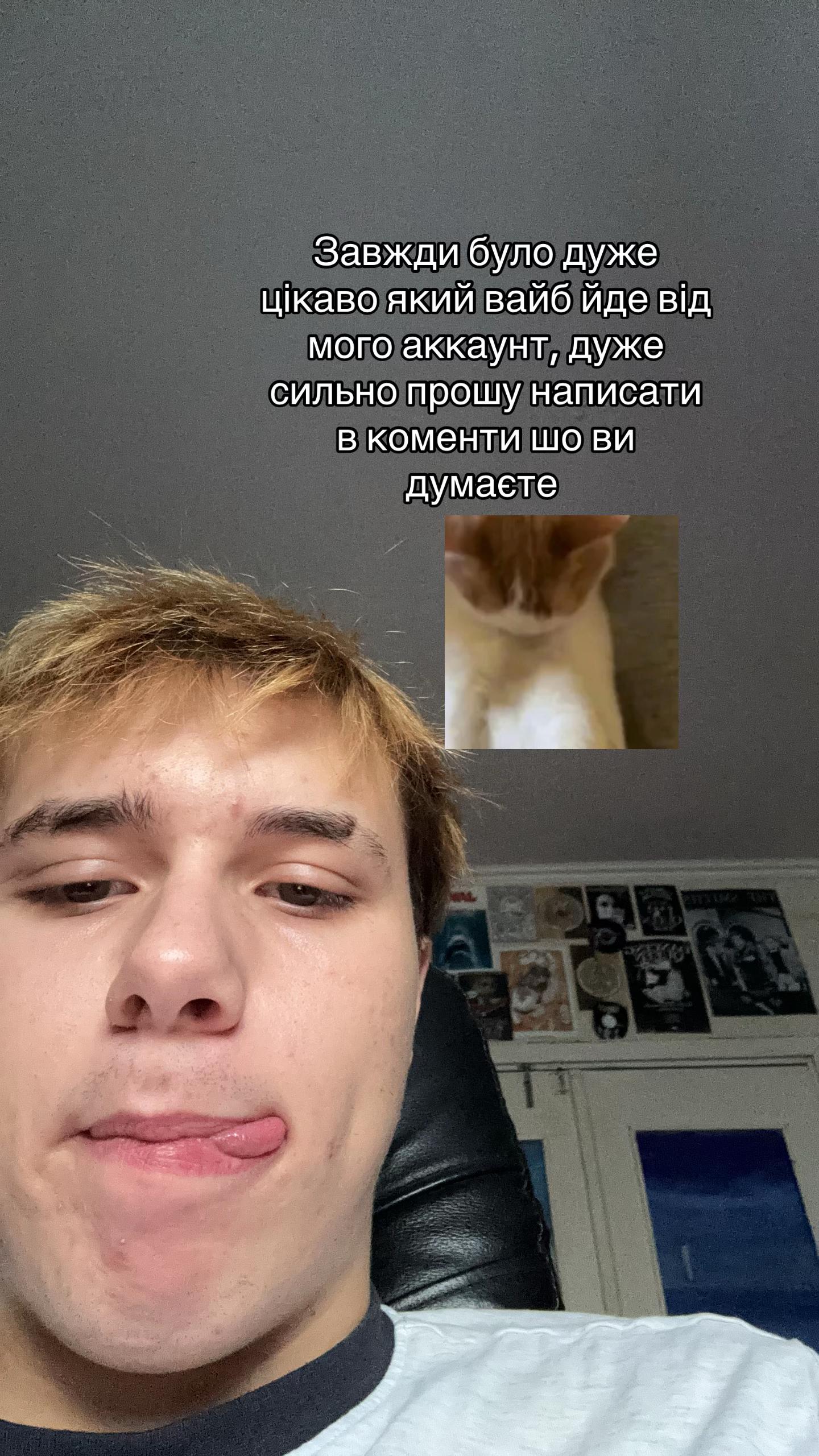 @ведмідь