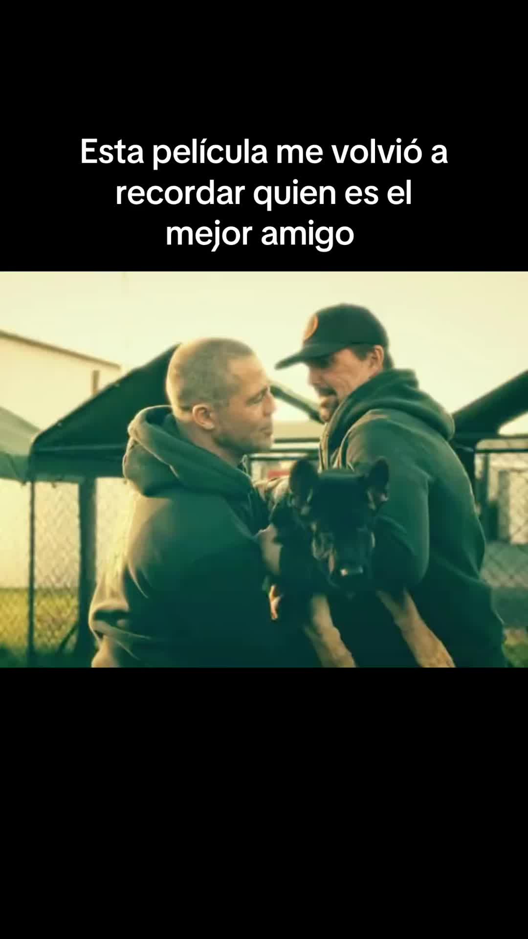 @🎬DavoFilms