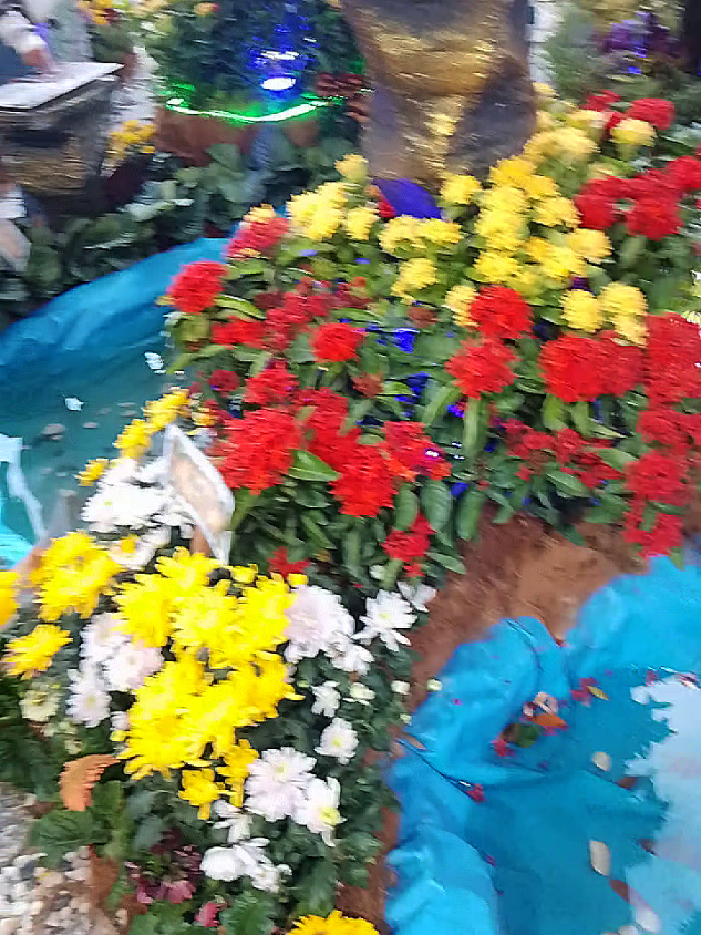@Umiesafuan ✨🌻