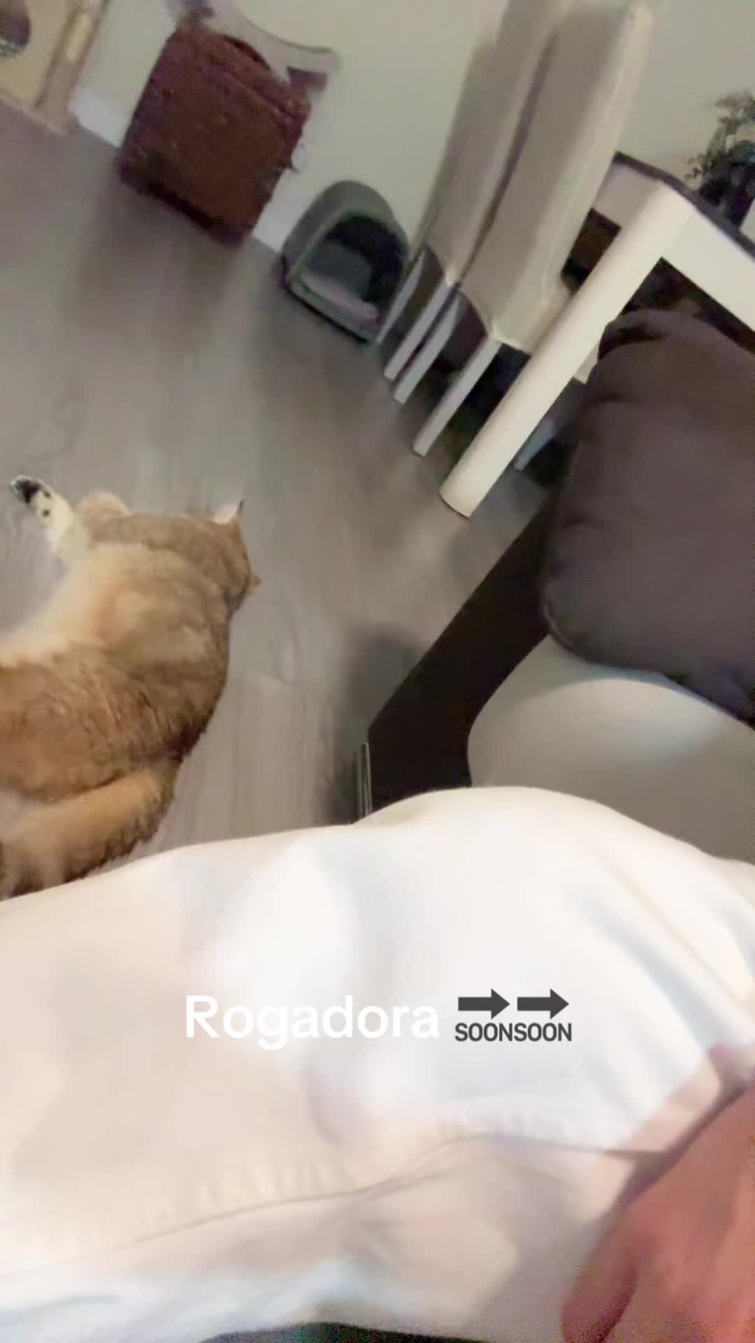 @mnendezzz_