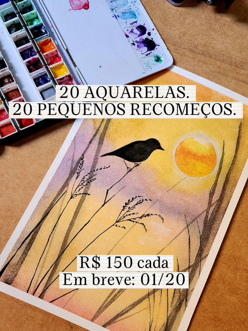 @Camila Forti