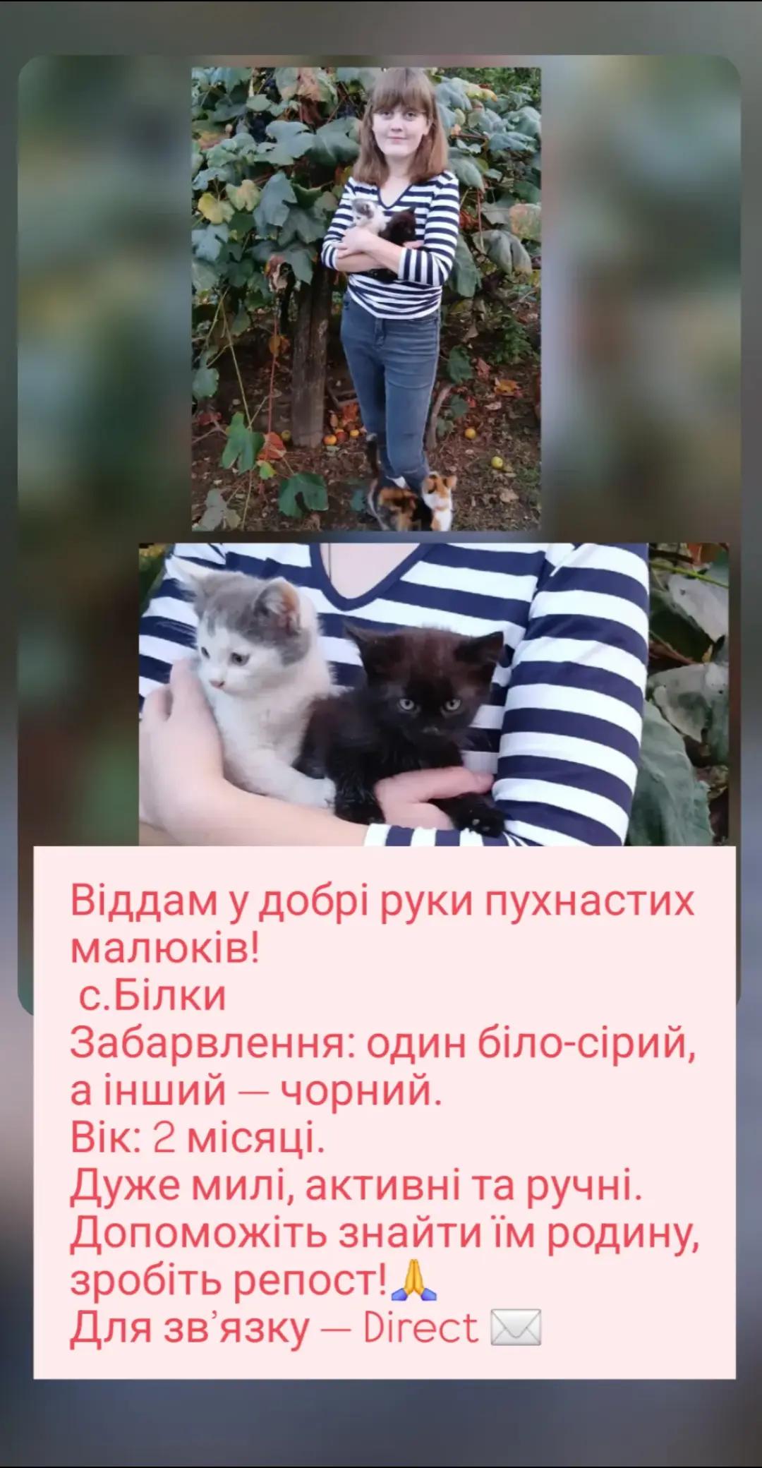 @Svetka