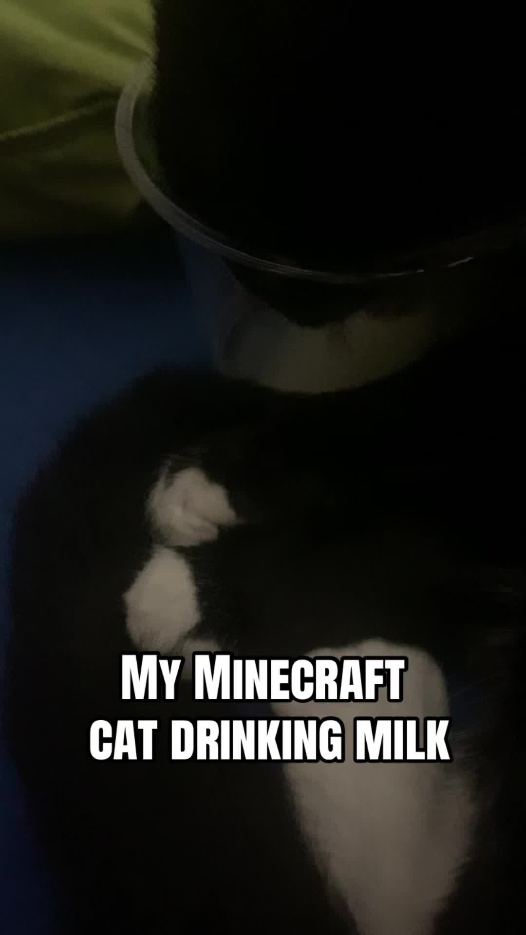 @🐇Ṽ̴̮̻̼̙̋͐̿̋̌̇̊hs𝚆arℤone🪲