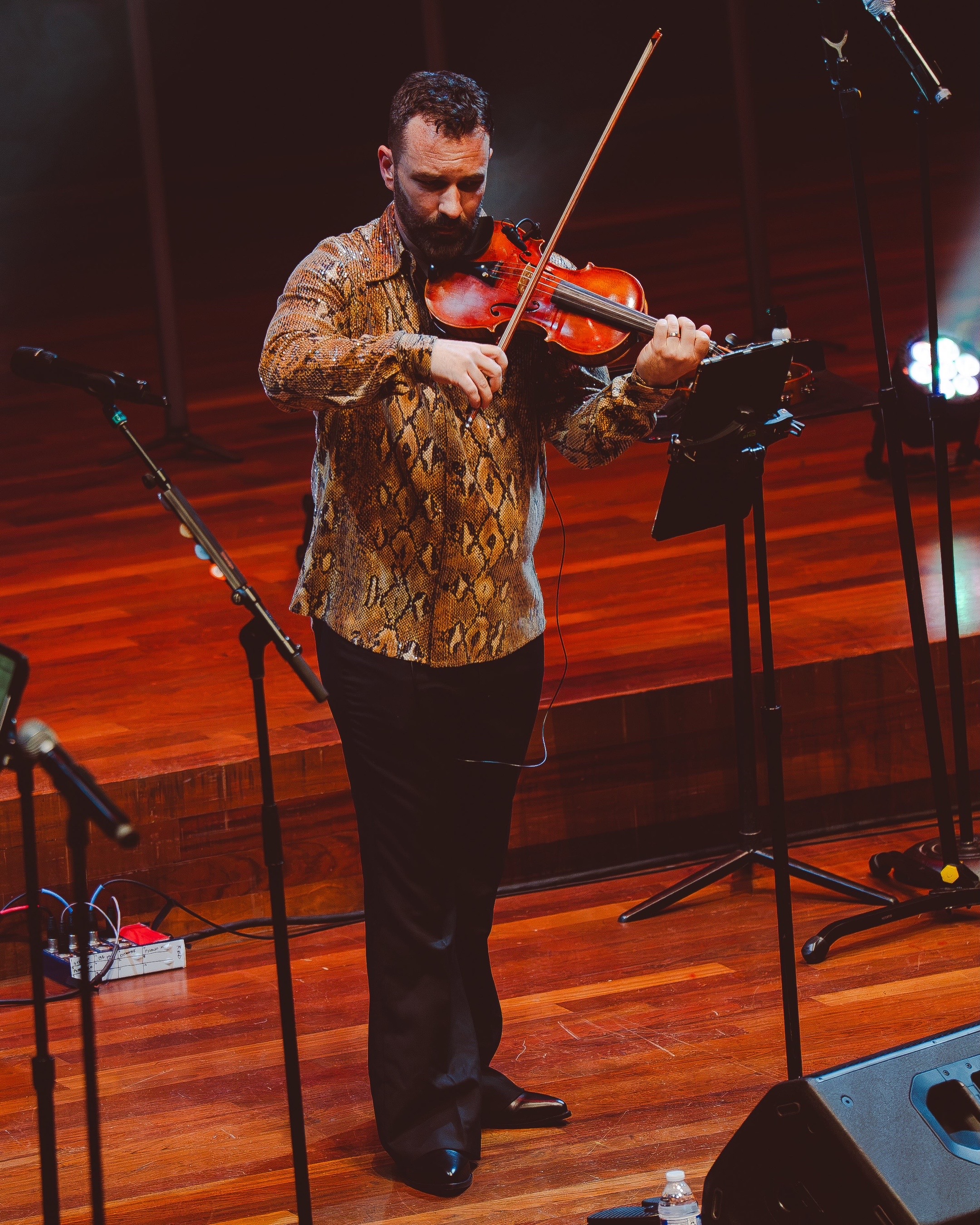 @vitaminstringquartet