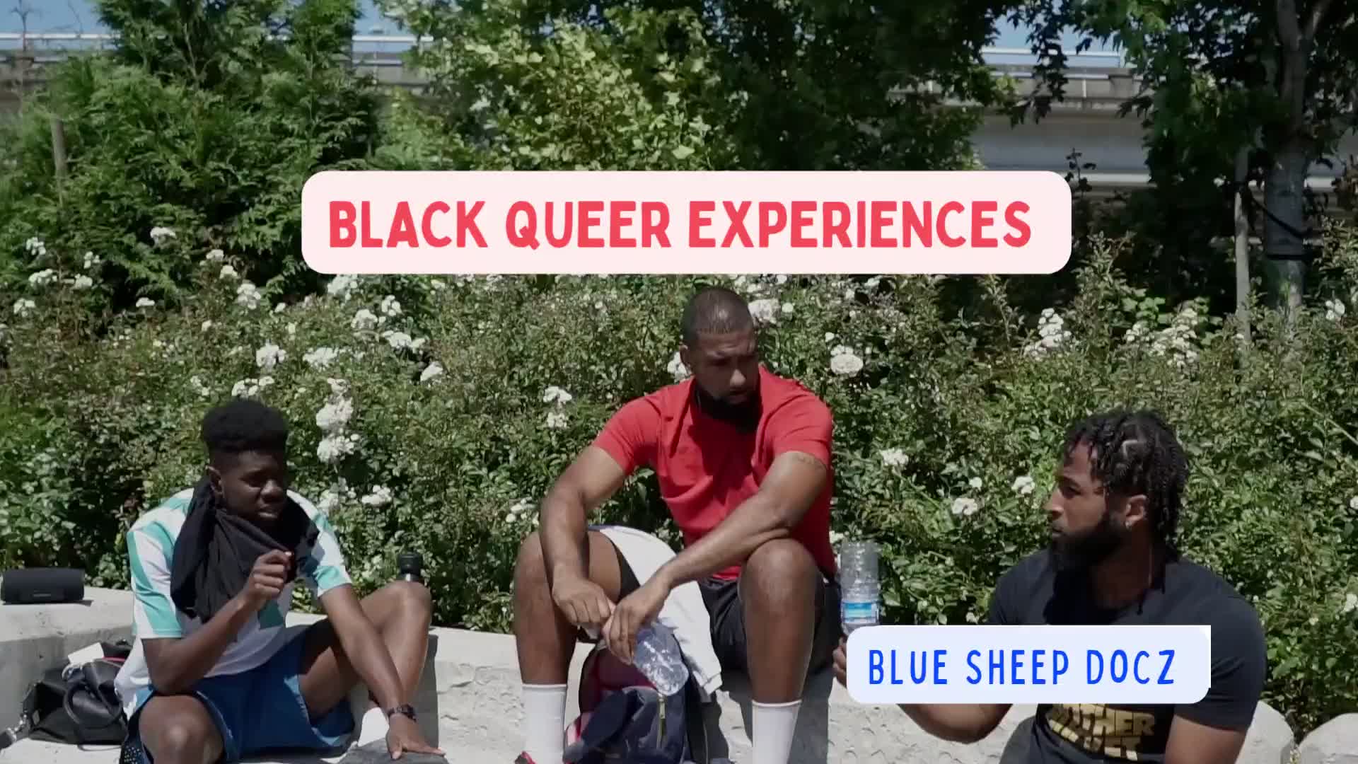 @Blue Sheep Docz
