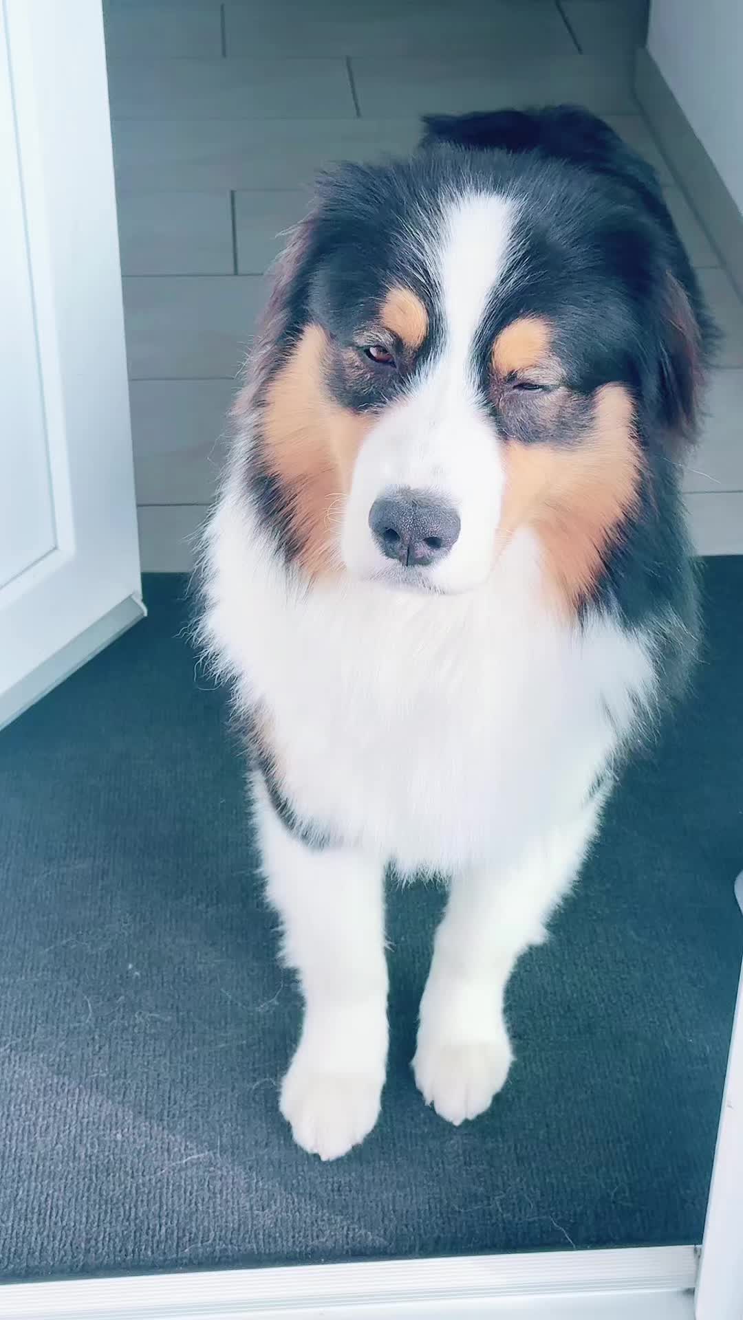 @Rico💕❤️-Vito🥰❤