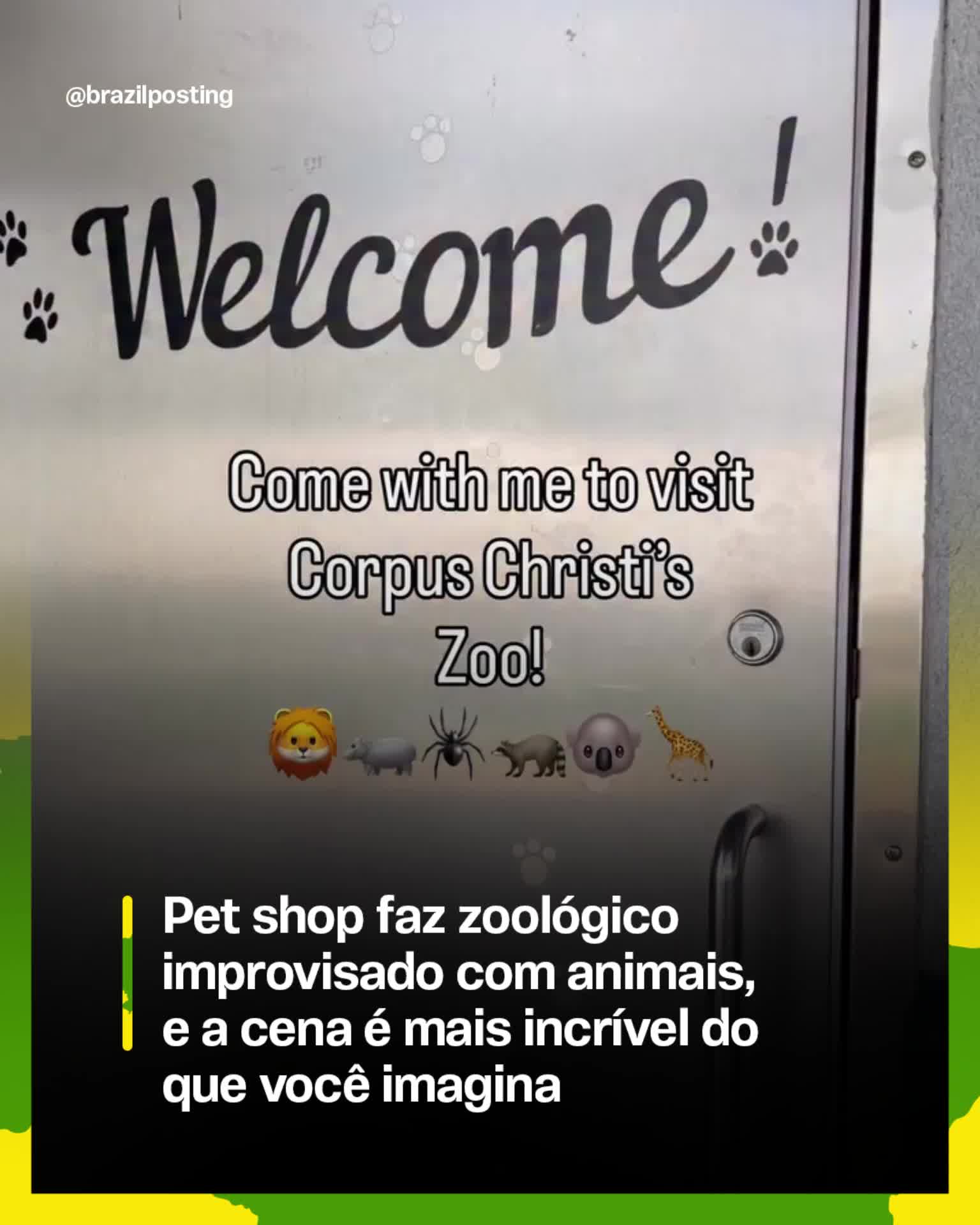 @Brazil Posting