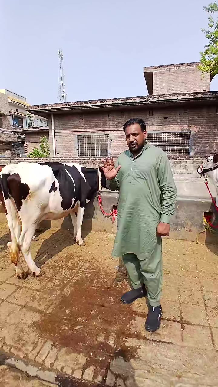 @Farming and Business Ideas