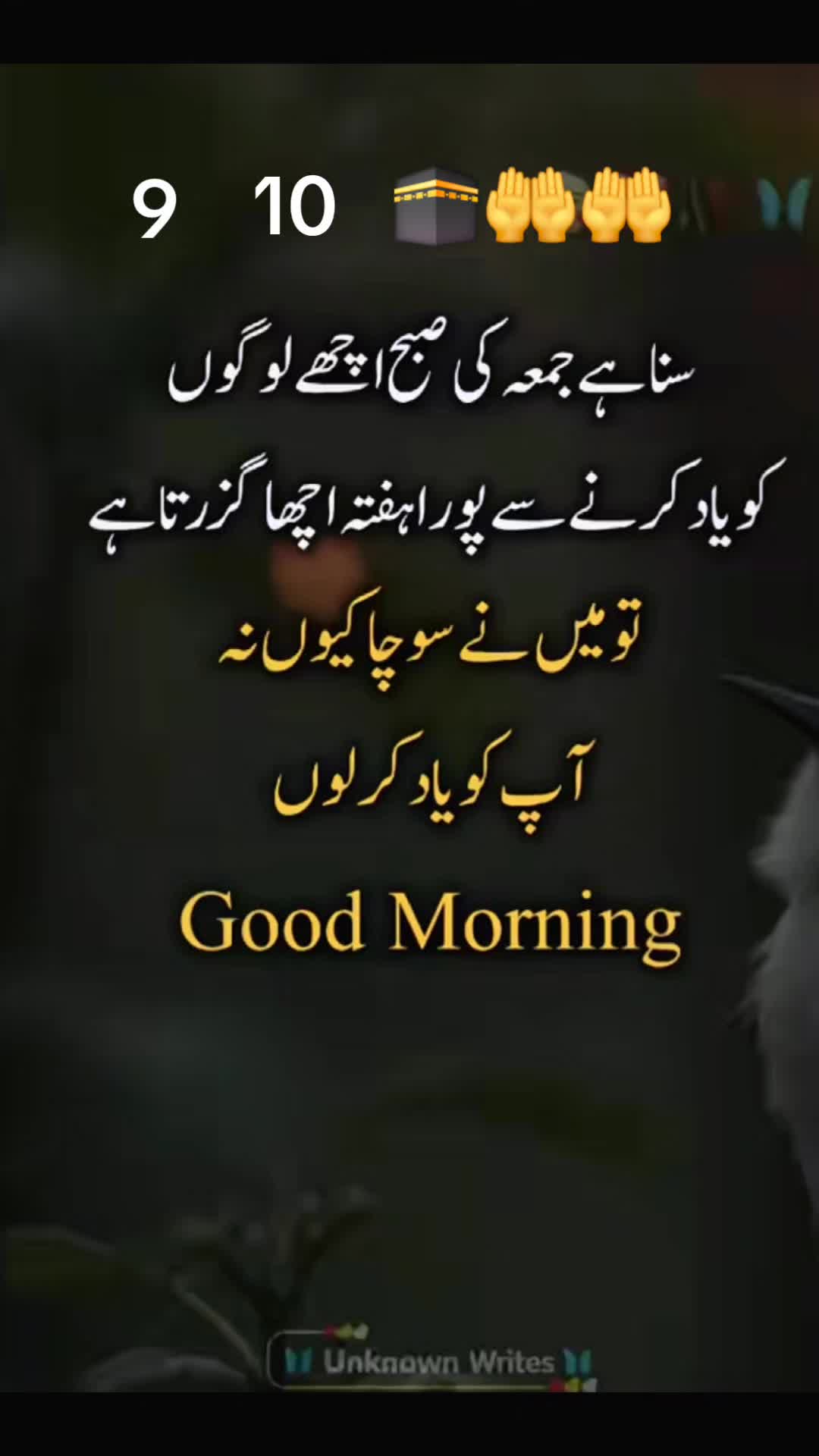 @amaan1949
