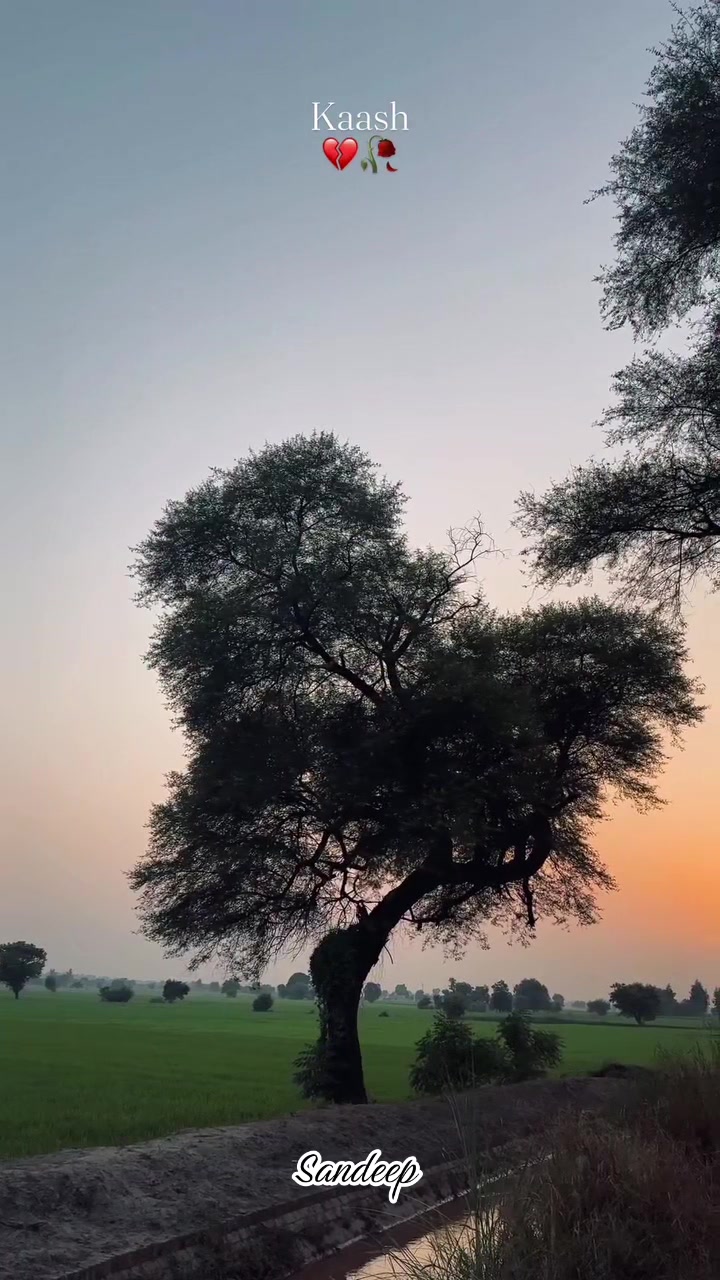 @Sdeep_2022