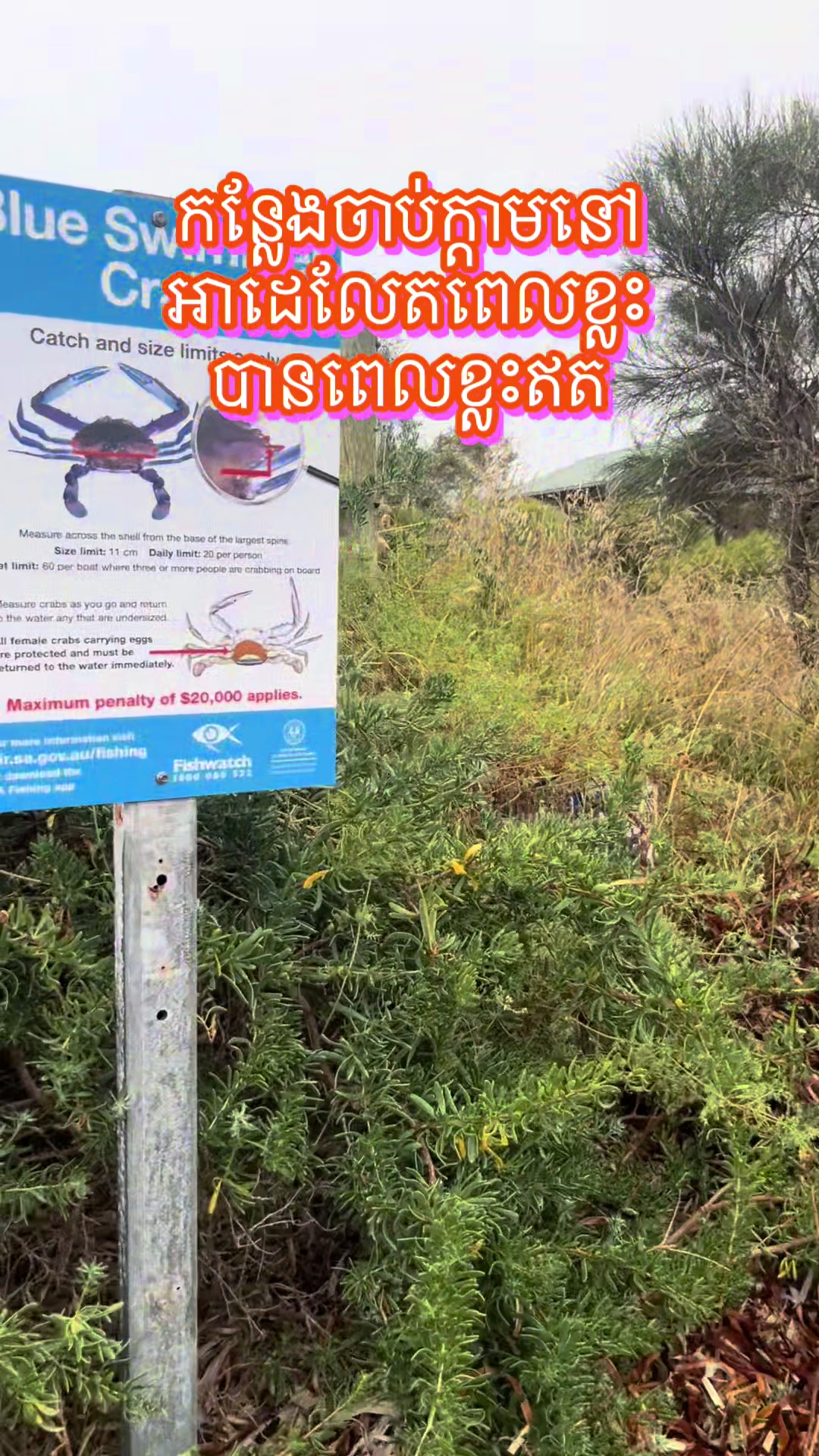 @Seang khim pen