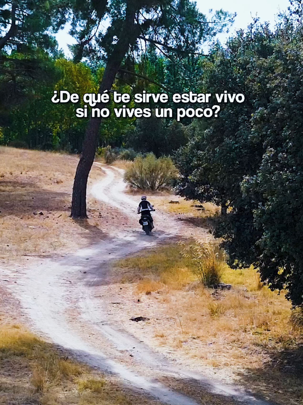 @Santos En Moto