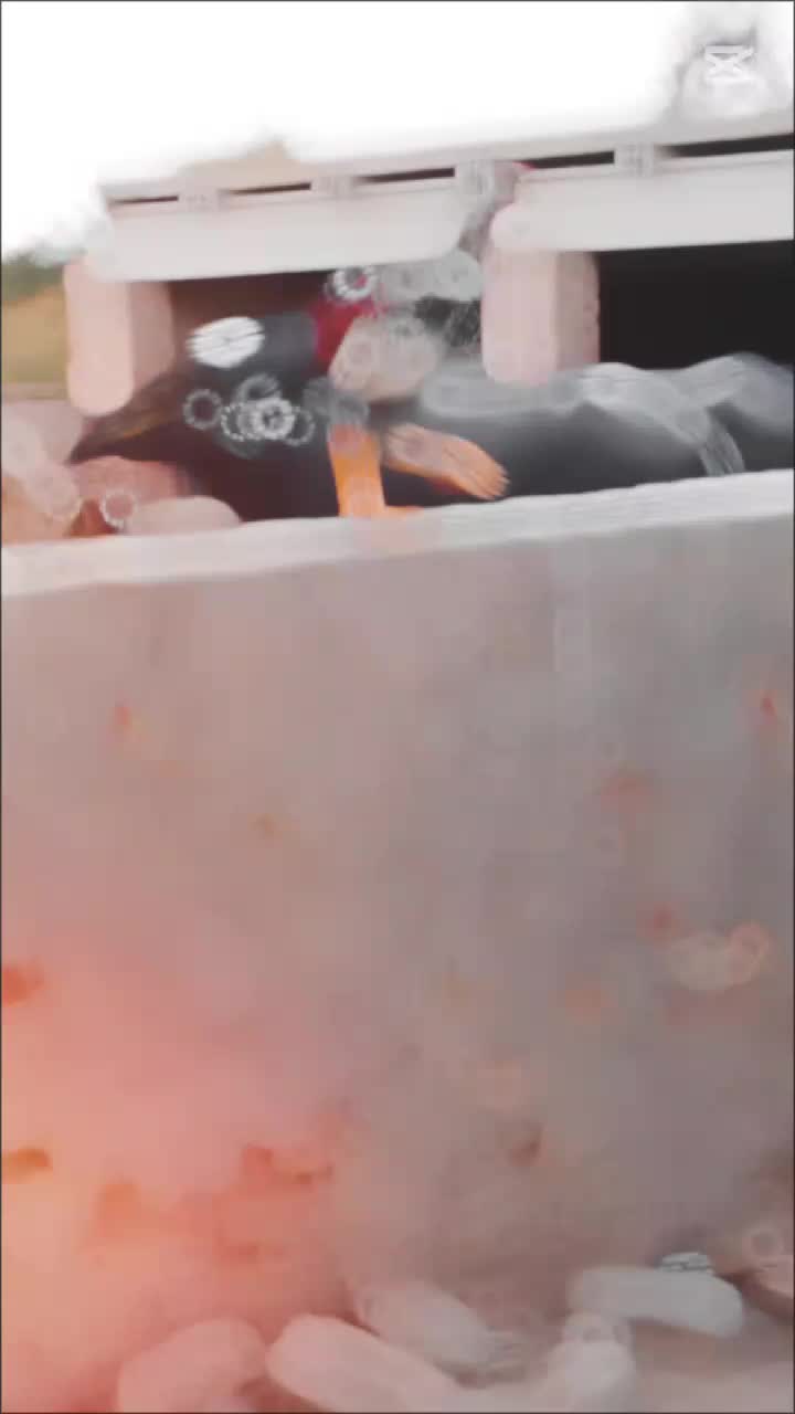 @@𝐀mbarsariy𝐚♨️