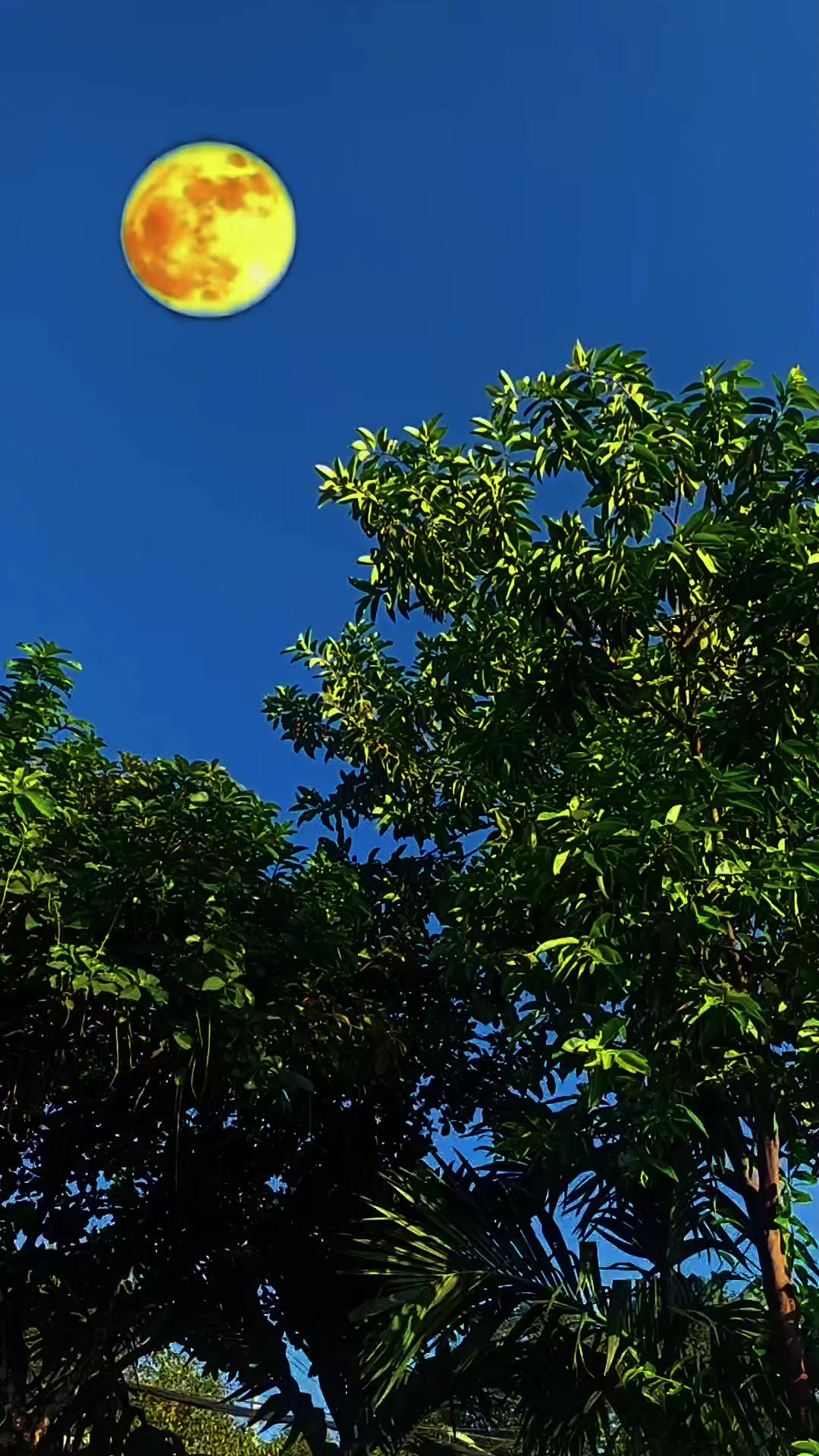 @Hữu.Nguyên 57