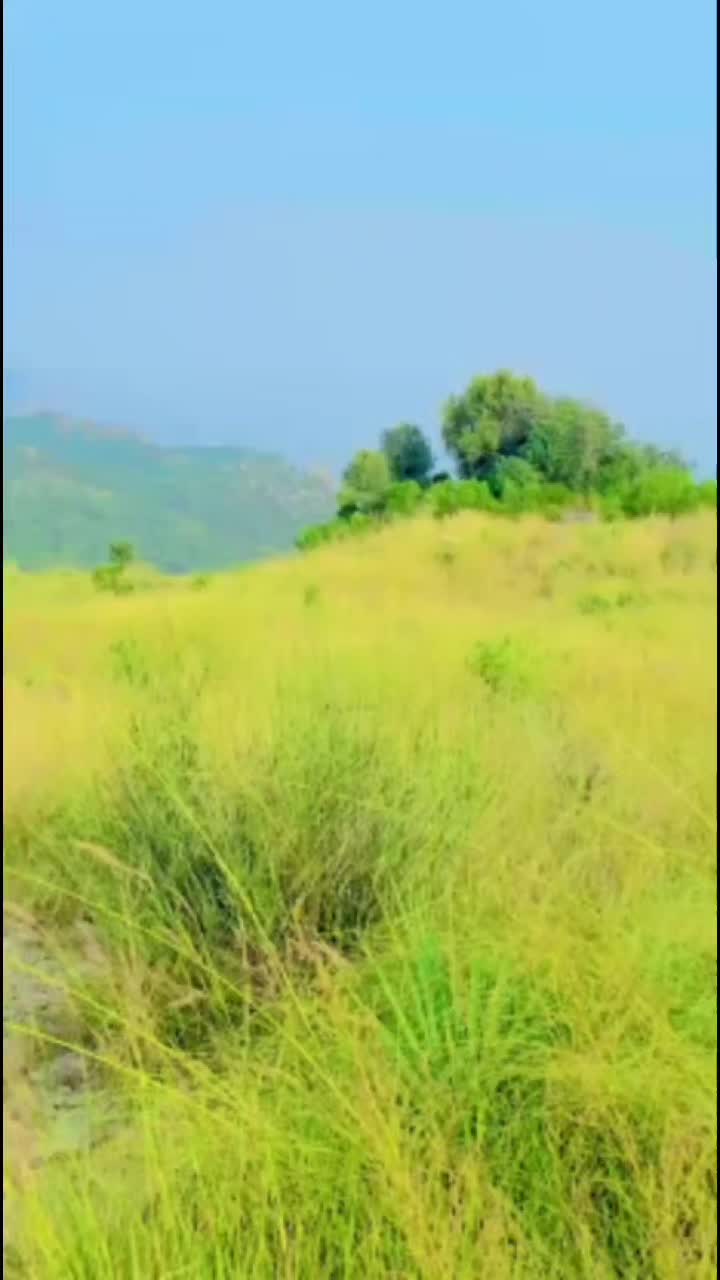 @عبدالقدوس وفا