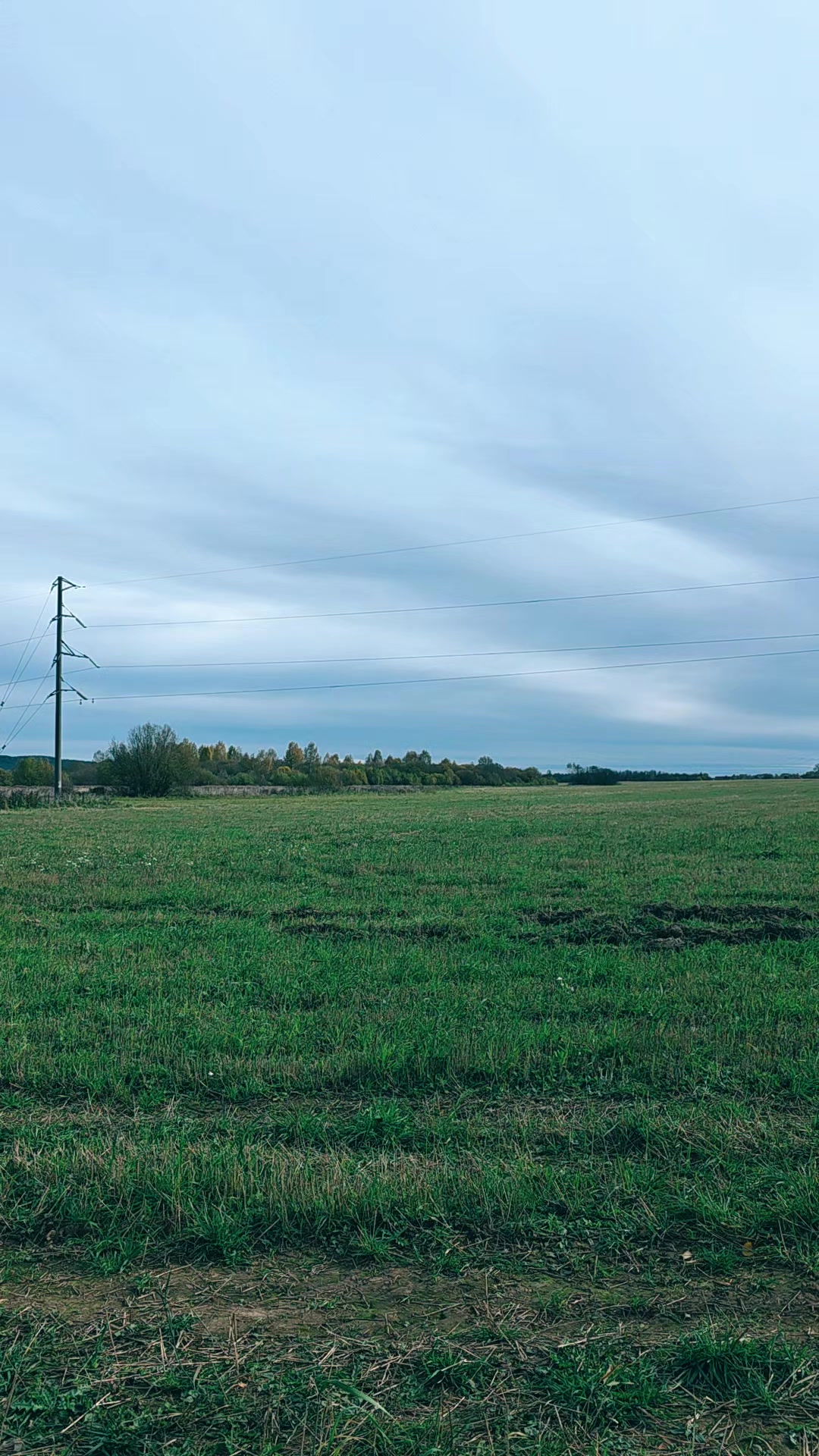 @Кудрявая