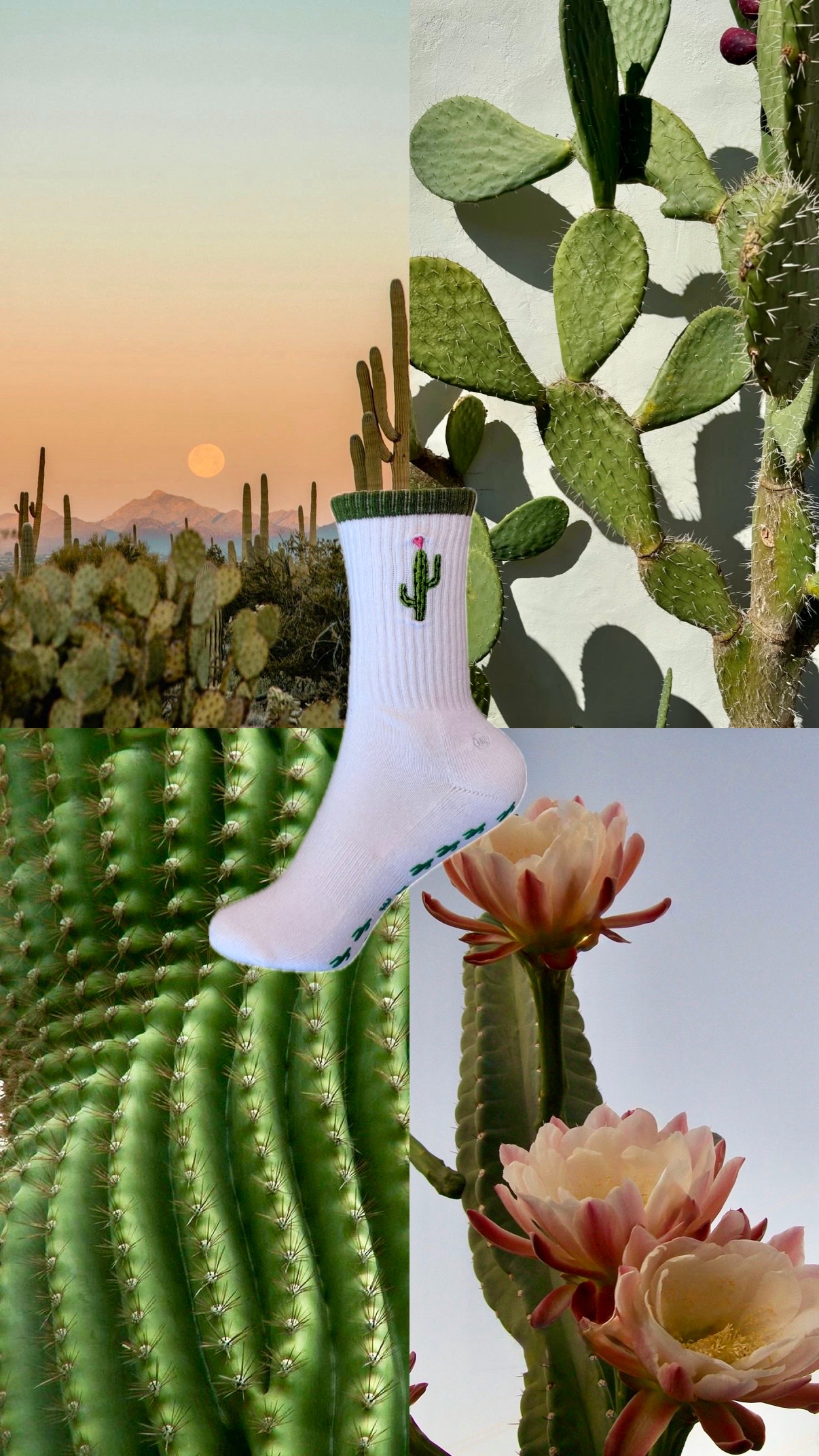 @Lisa Maree Grip Socks