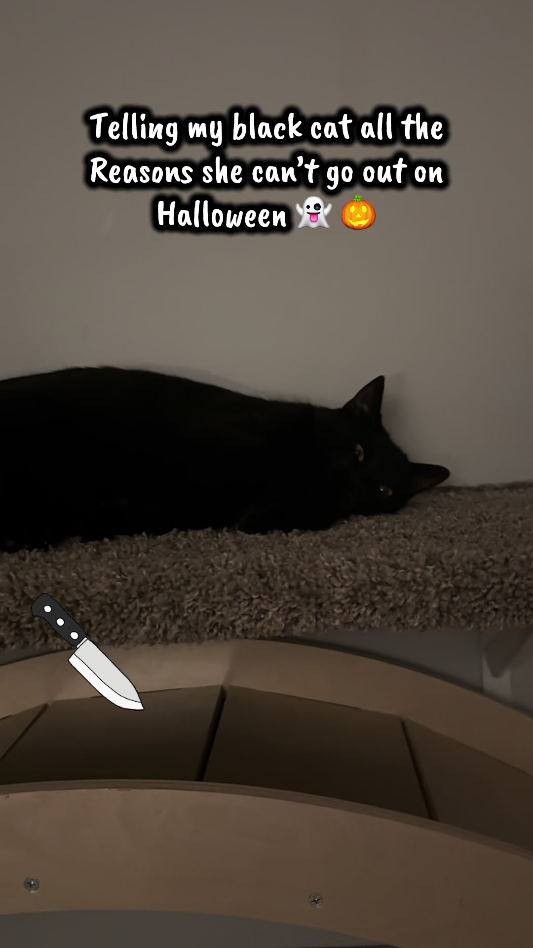 @TailsandWhiskersCo