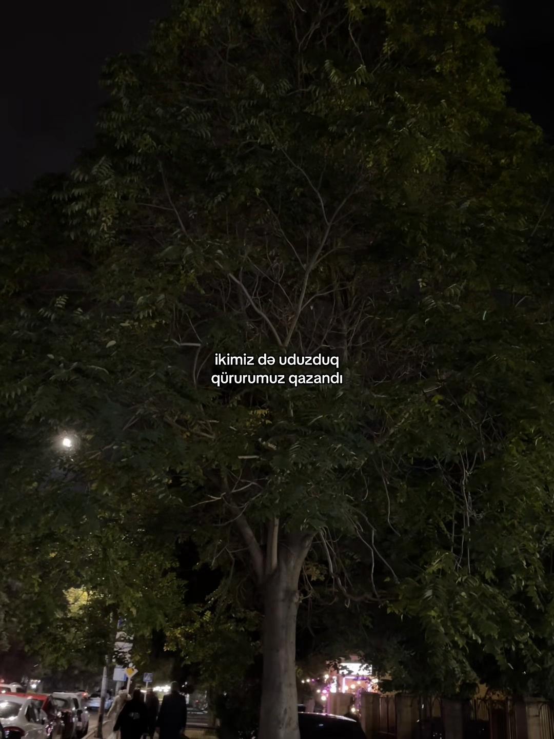 @nezerows⚡️